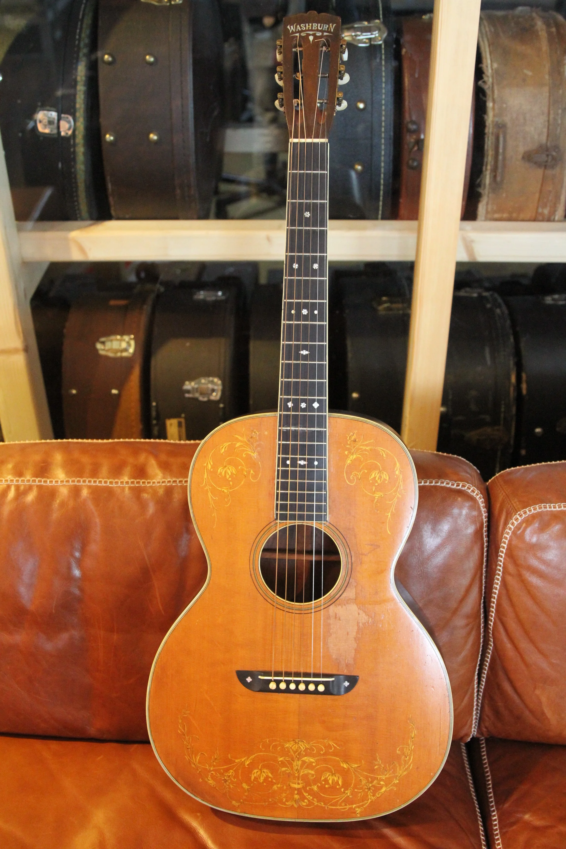 Washburn 5234 , gold stenciled top