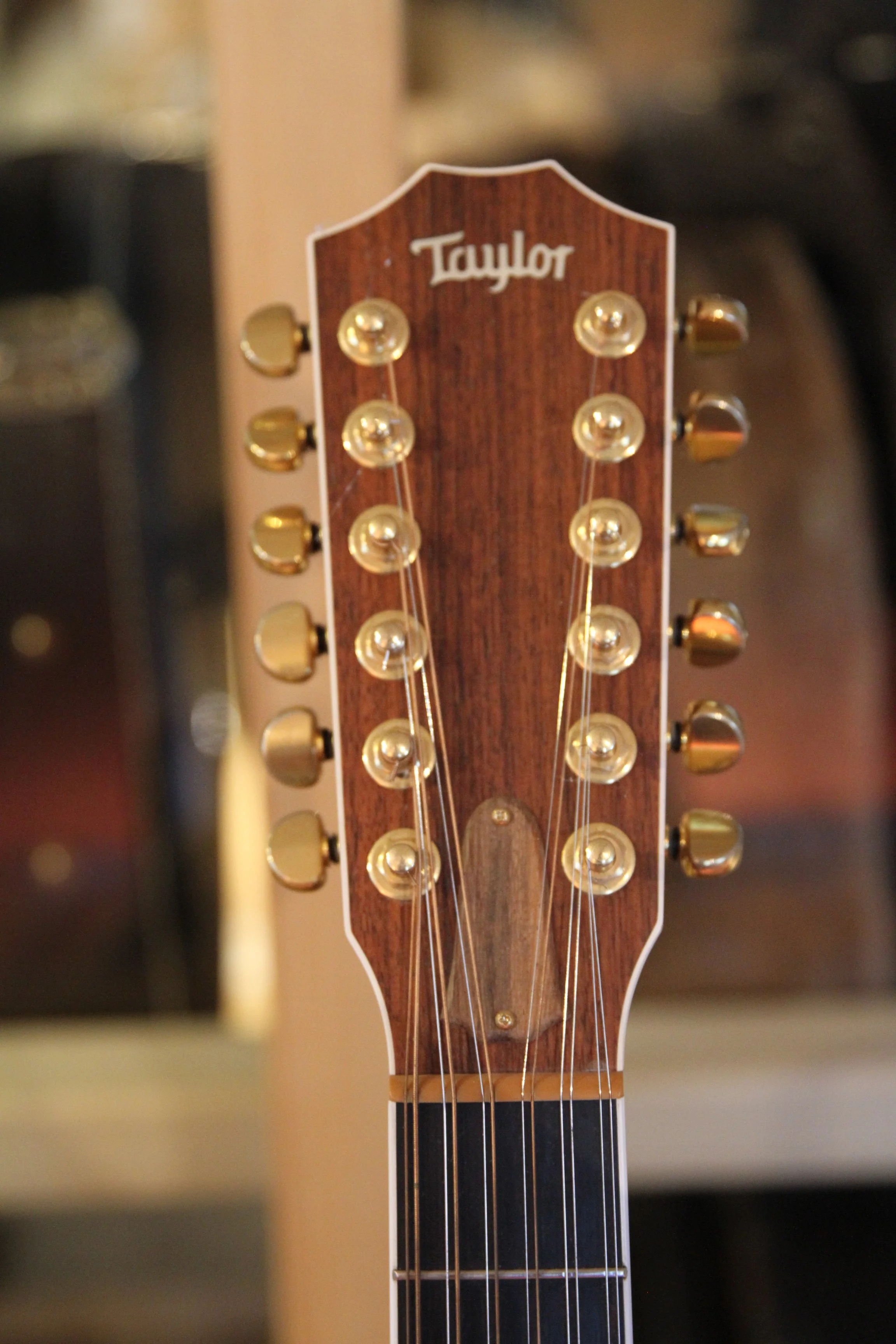 headstock with logo Taylor 855 , 1997