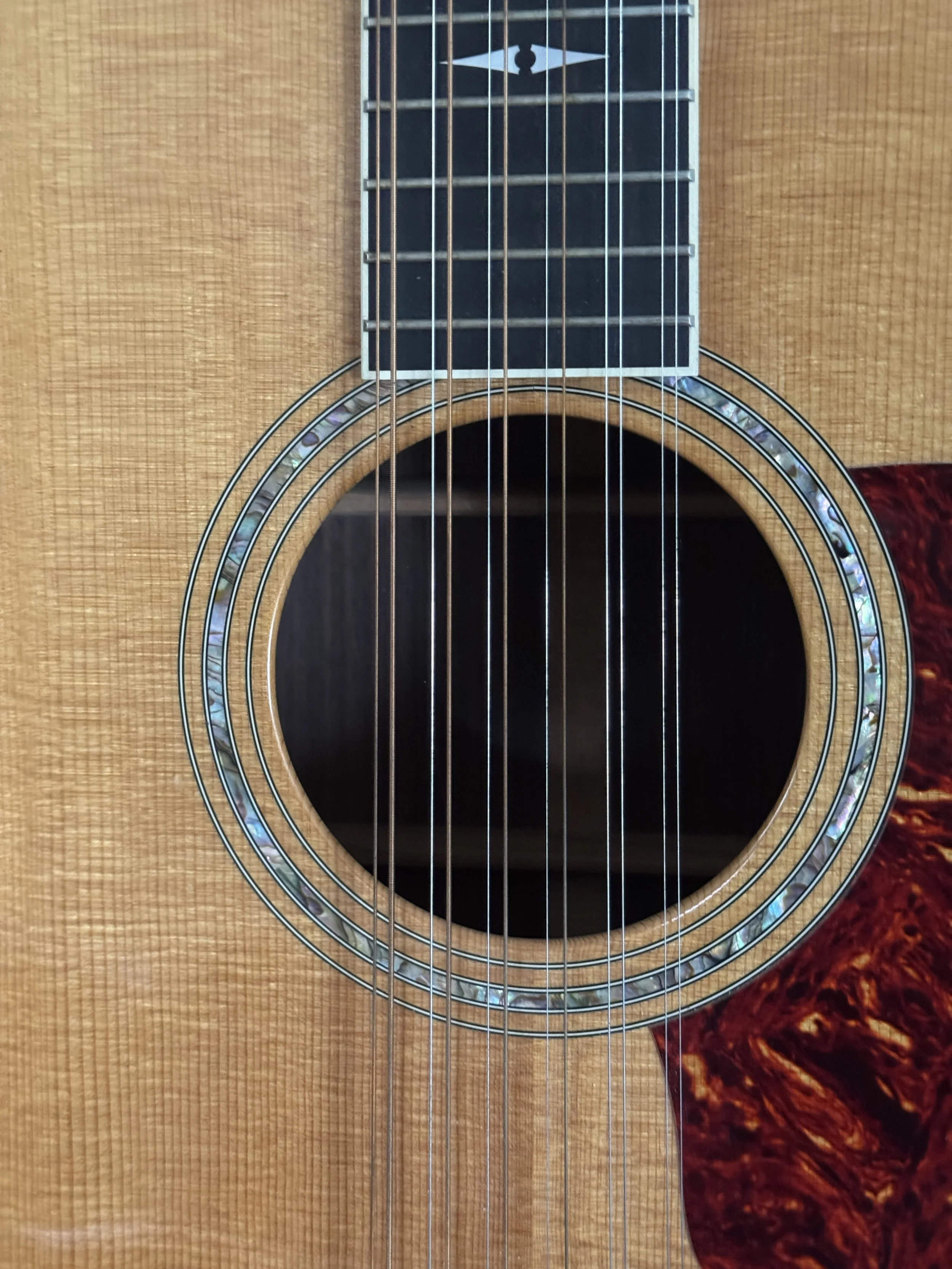pearl inlayed soundhole ring of Taylor 855