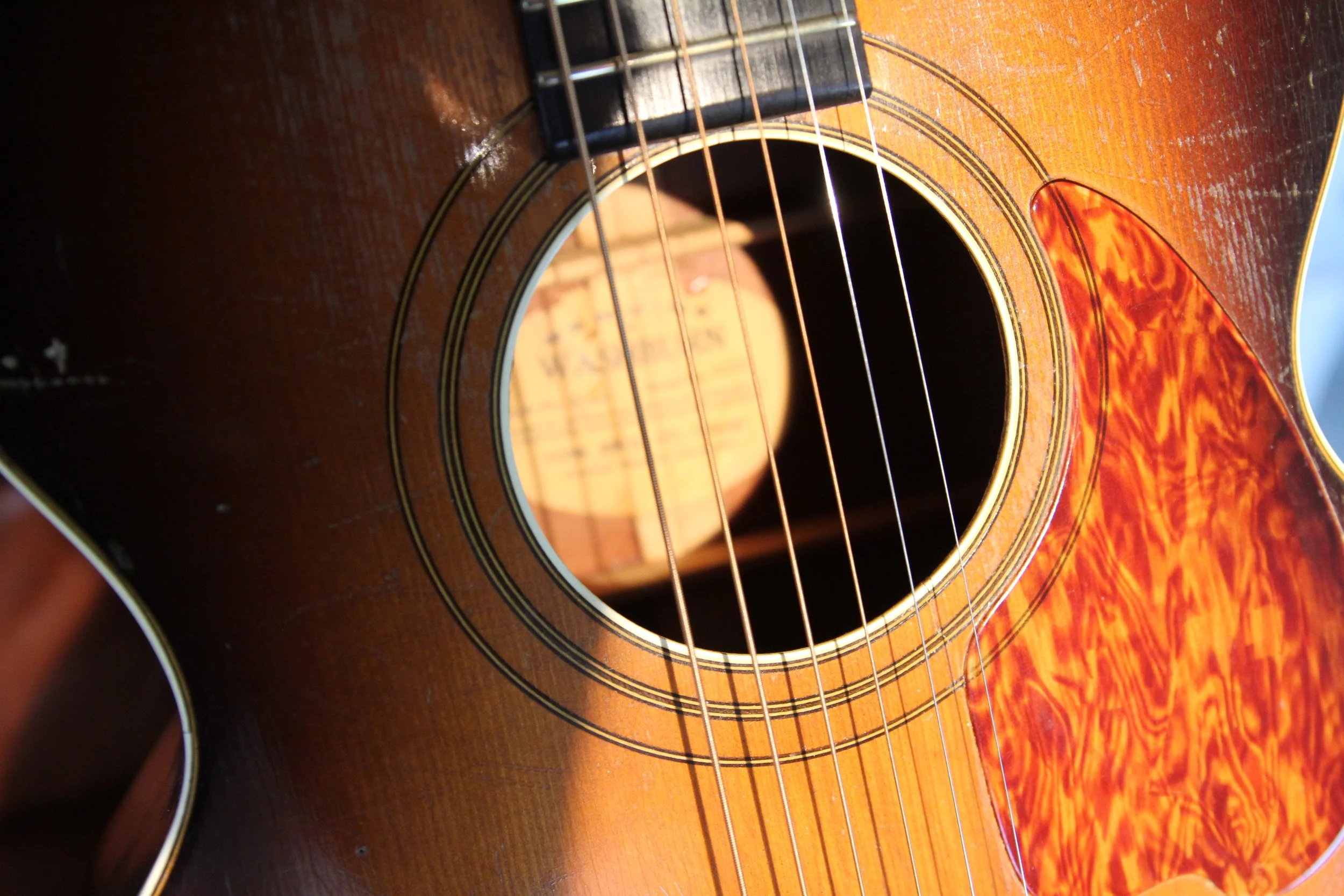 pick guard soundhole inside label Washburn 5244