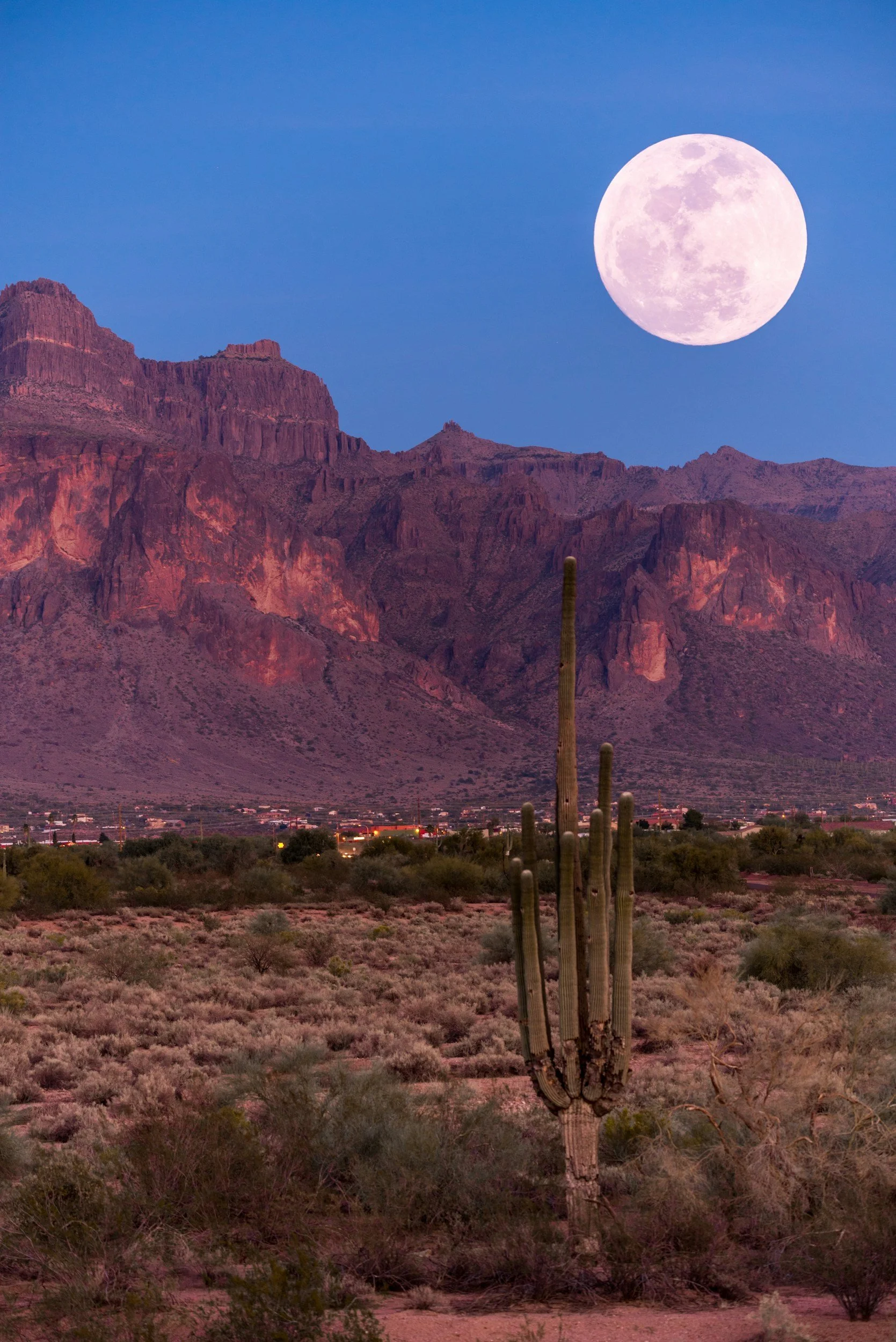 A desert landscape at dusk featuring tall cacti in the foreground, rugged red mountains in the background, and a full moon in a purple and blue sky.