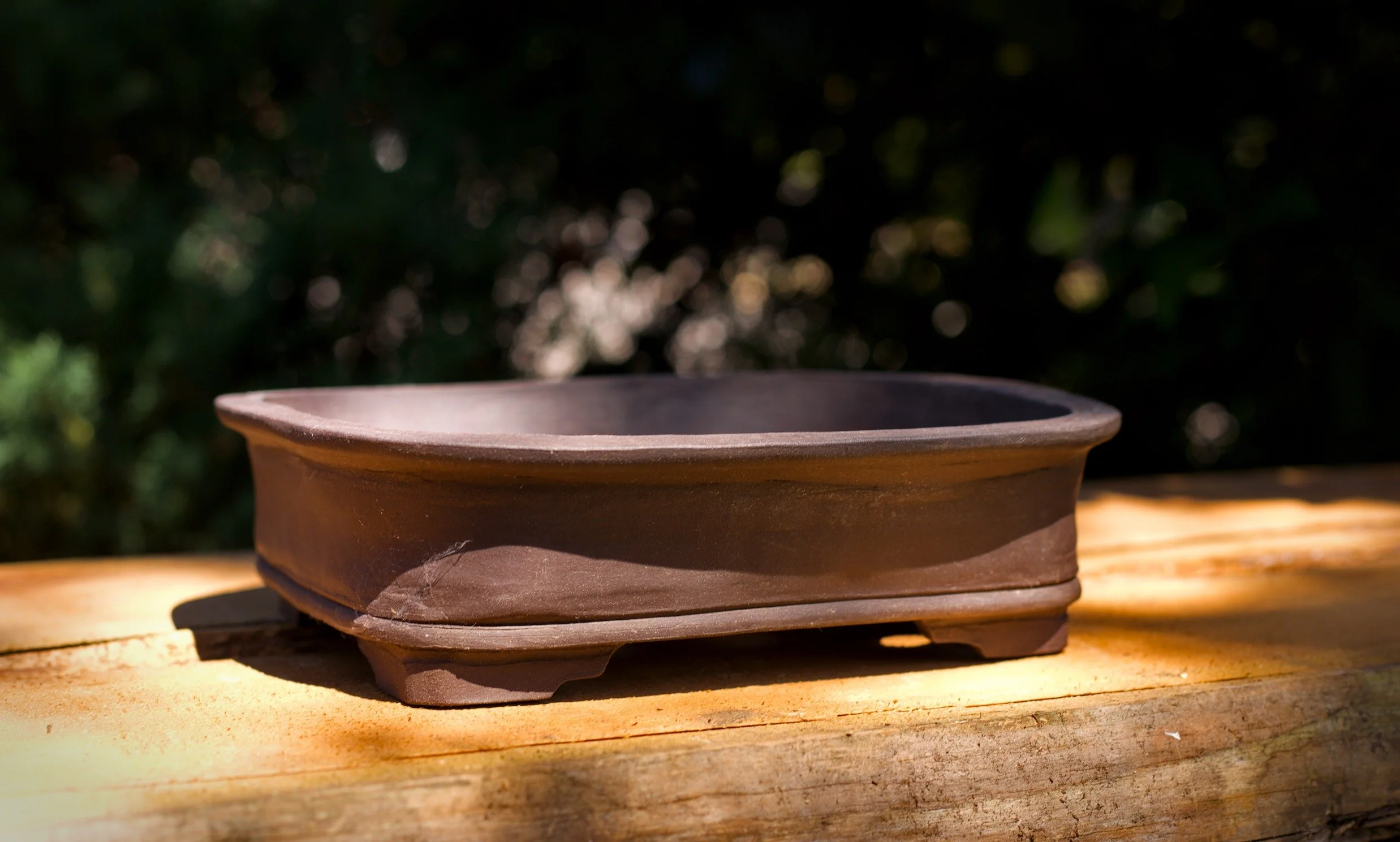 Dark Chocolate Bonsai rounded corners