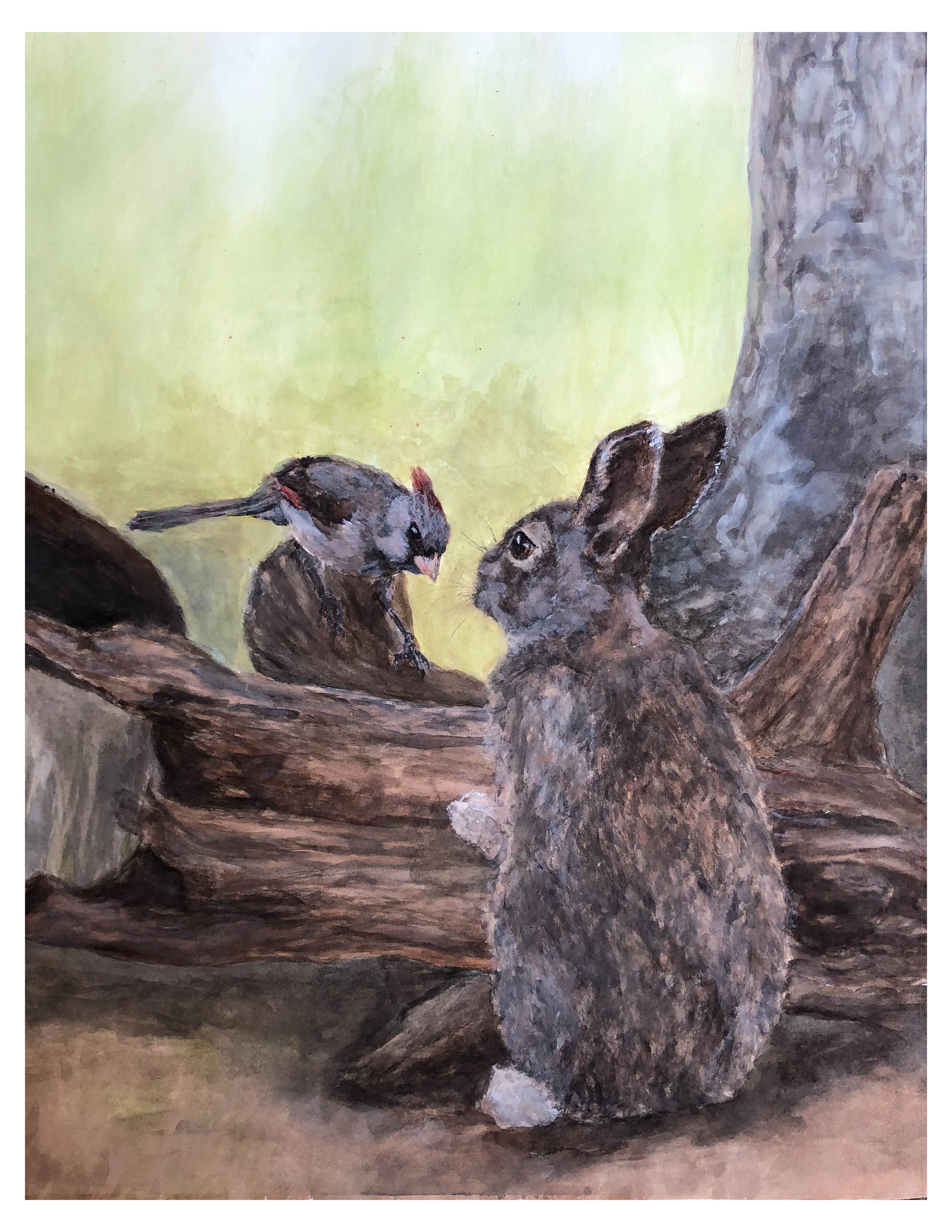 watercolor painting of a rabbit and cardinal on a log near a trail