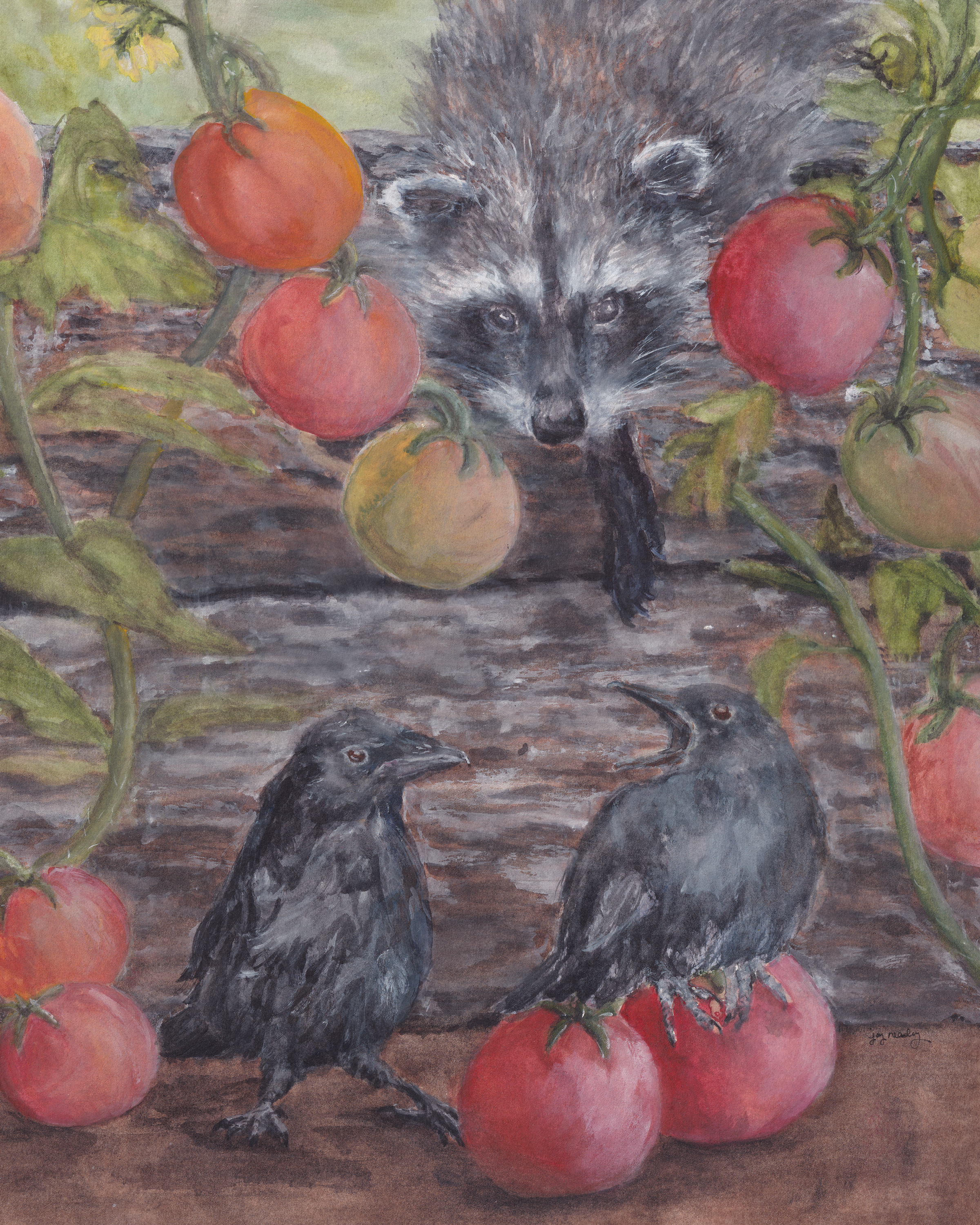 Tomato Tussle