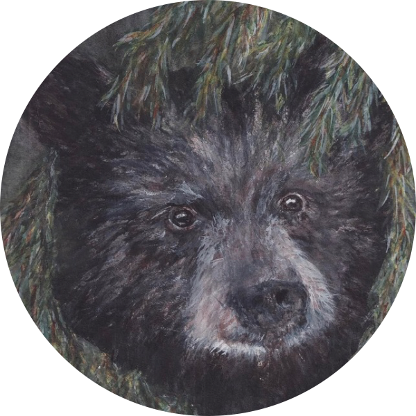 Koa