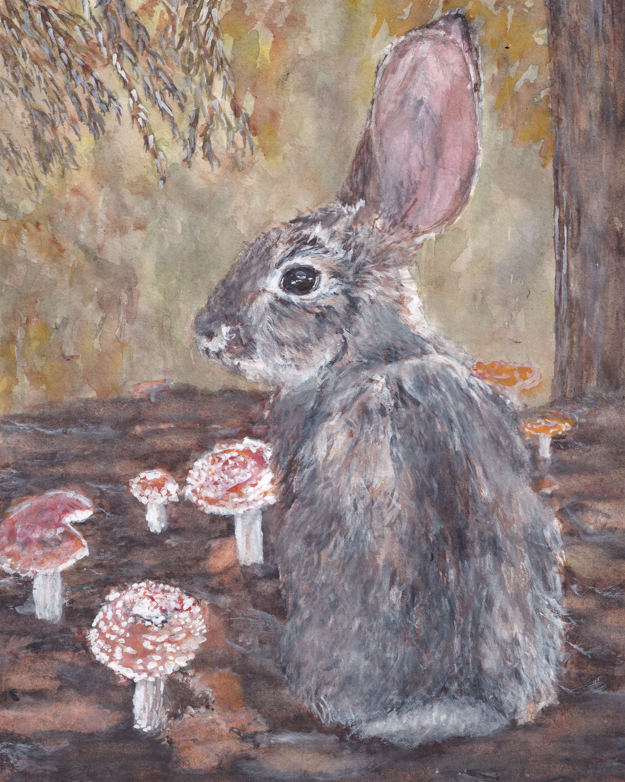 watercolor painting of a cottontail rabbit sitting among mushrooms on the forest floor