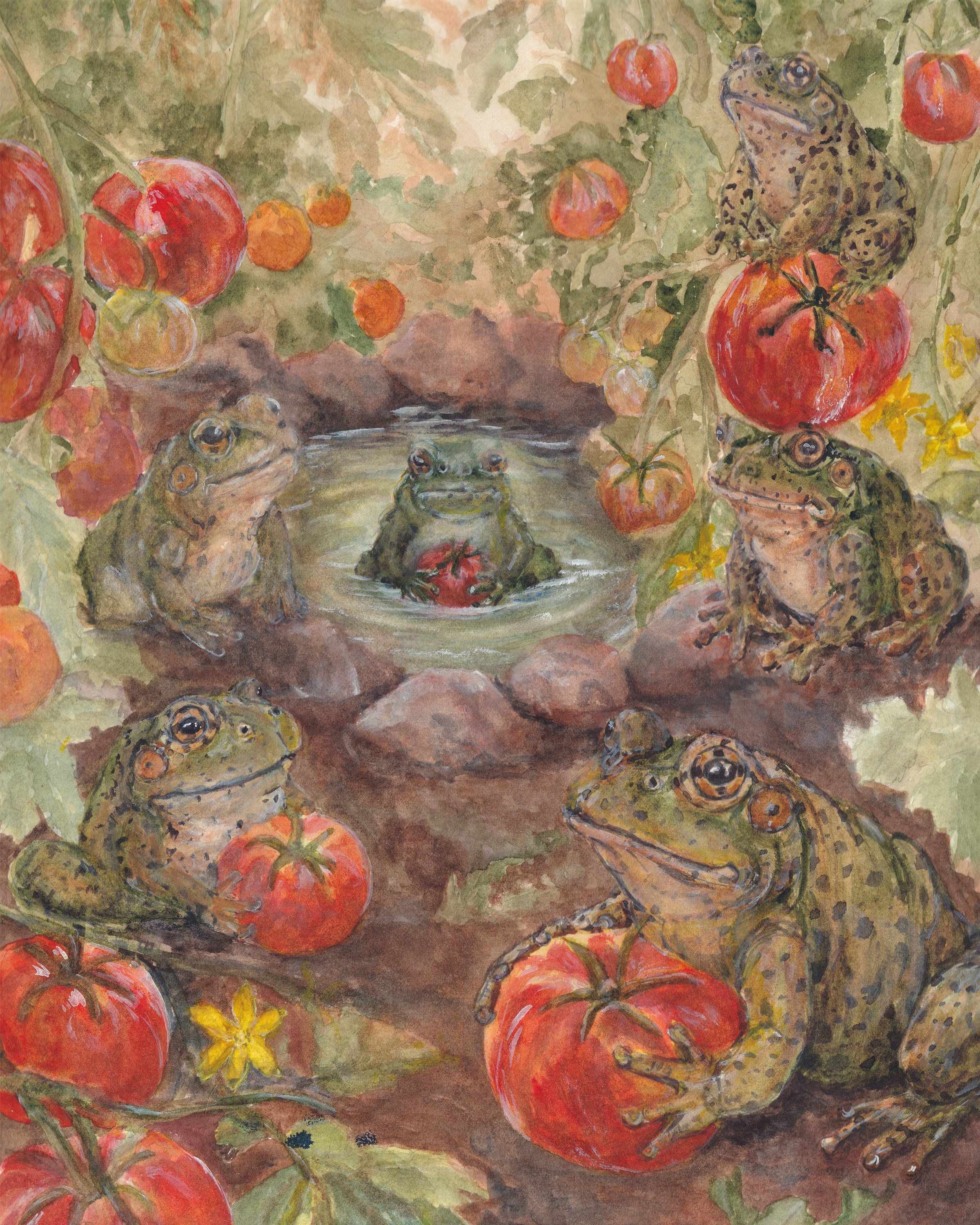 watercolor painting of many bullfrogs in a tomato garden holding tomatoes