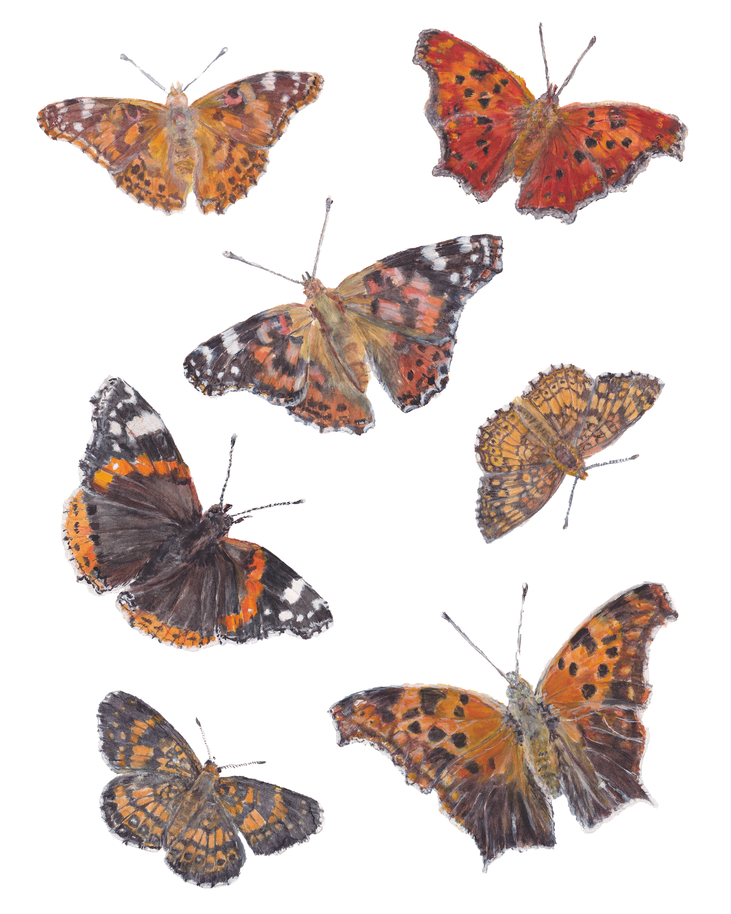 watercolor painting of orange butterflies flying