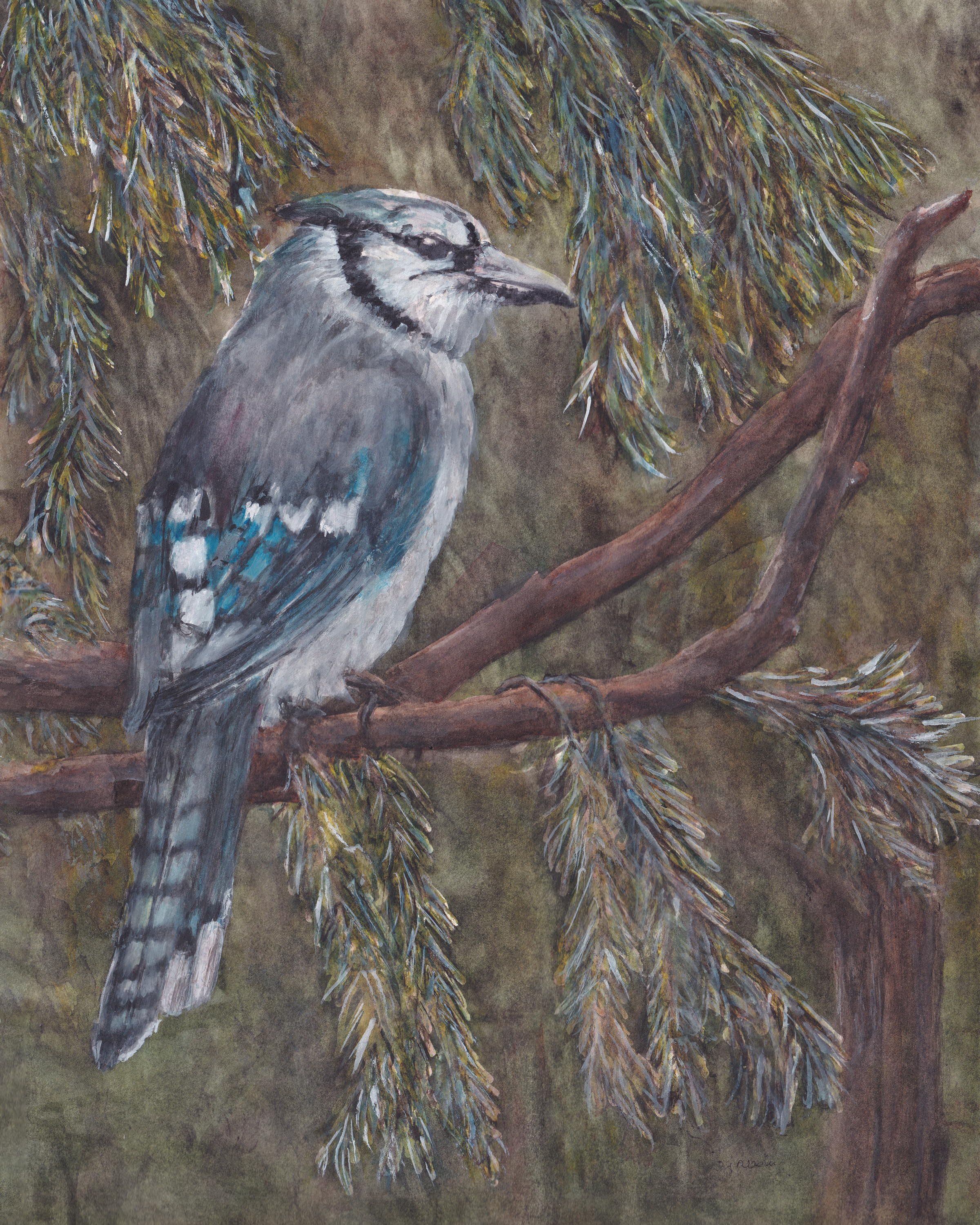 Watercolor painting of a blue jay in a bald cypress tree sitting on a branch.