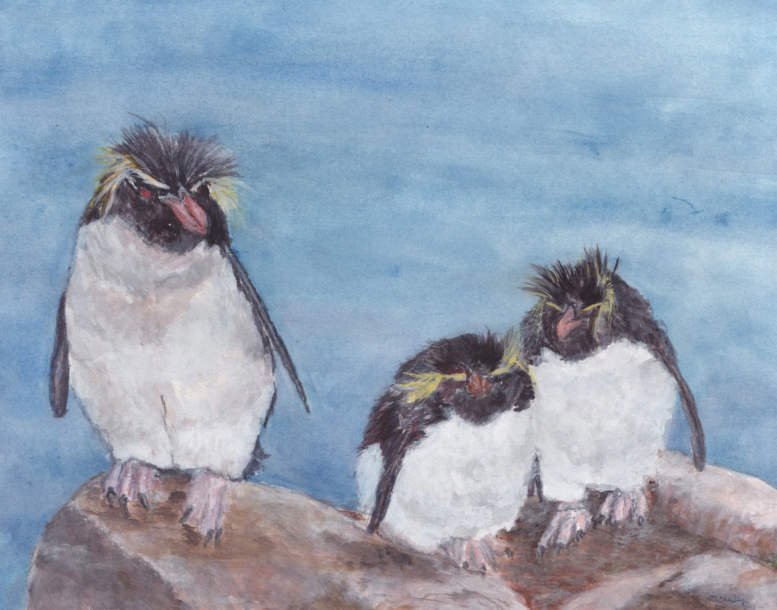 watercolor painting of northern rockhopper penguins on rocks with blue background
