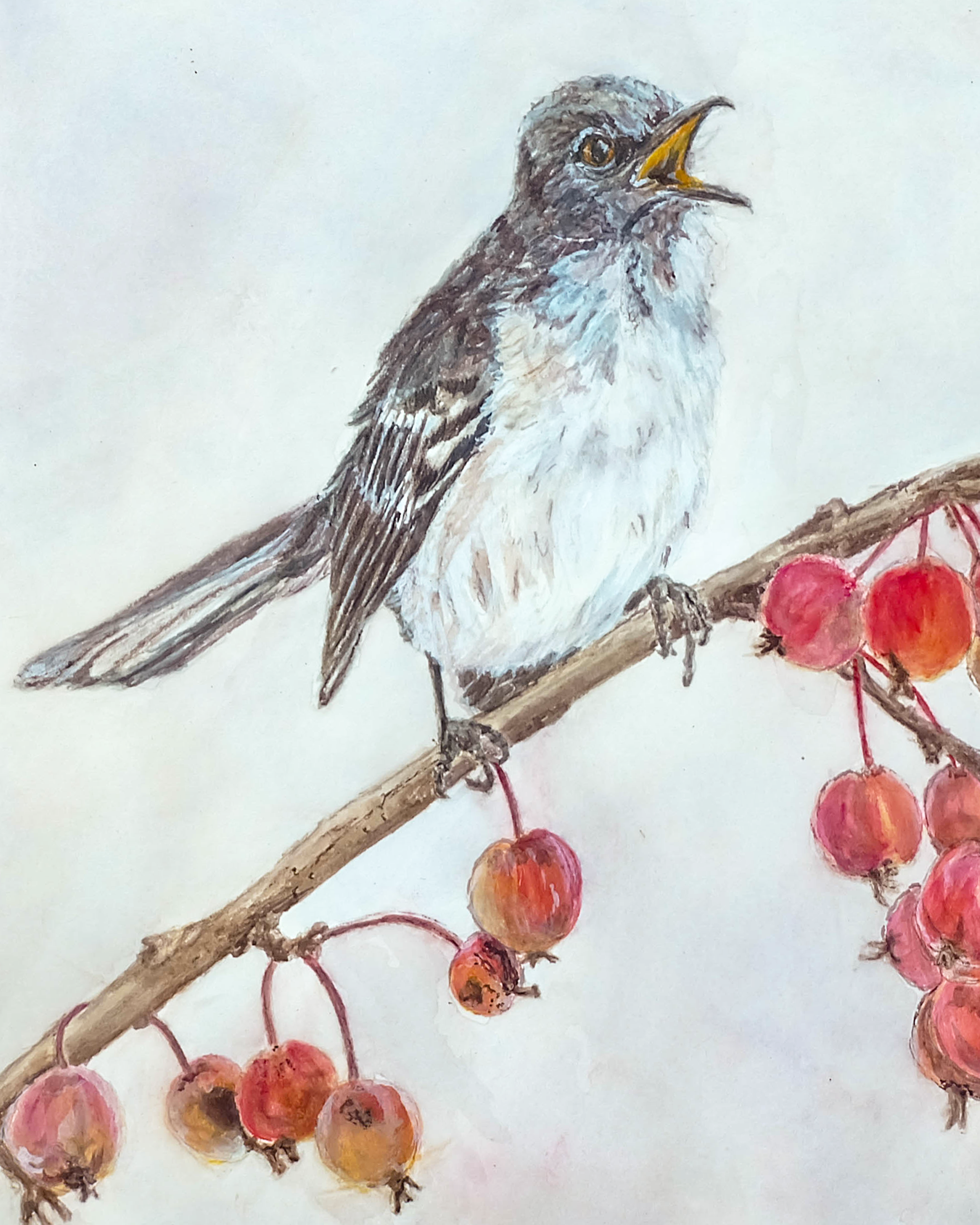 watercolor painting of a mockingbird singing in a tree full of crabapples.
