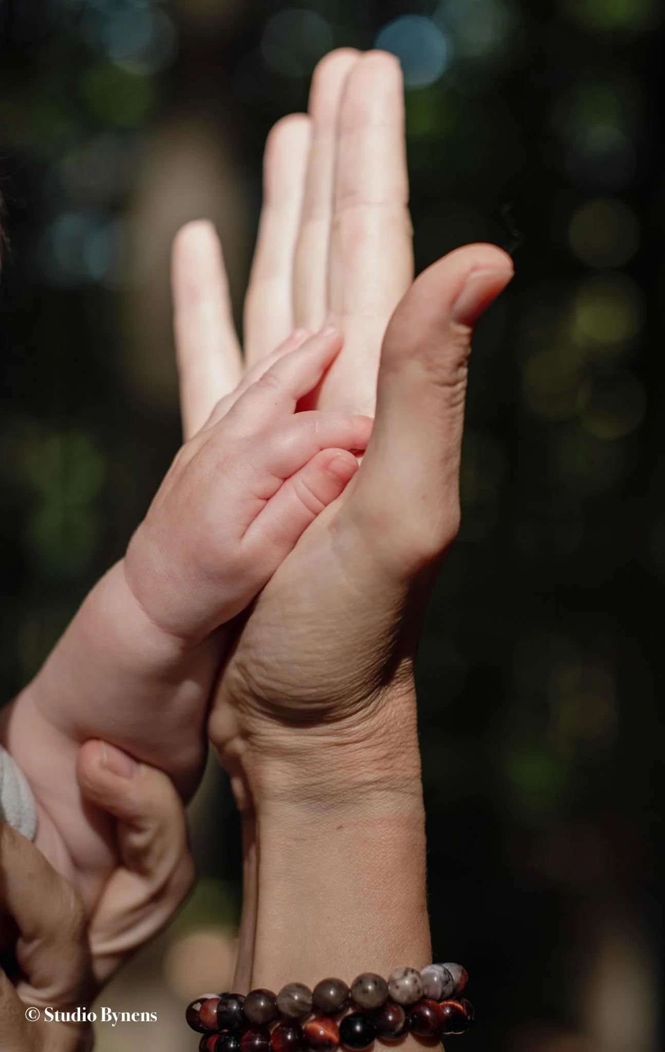 SITE-44.jpg