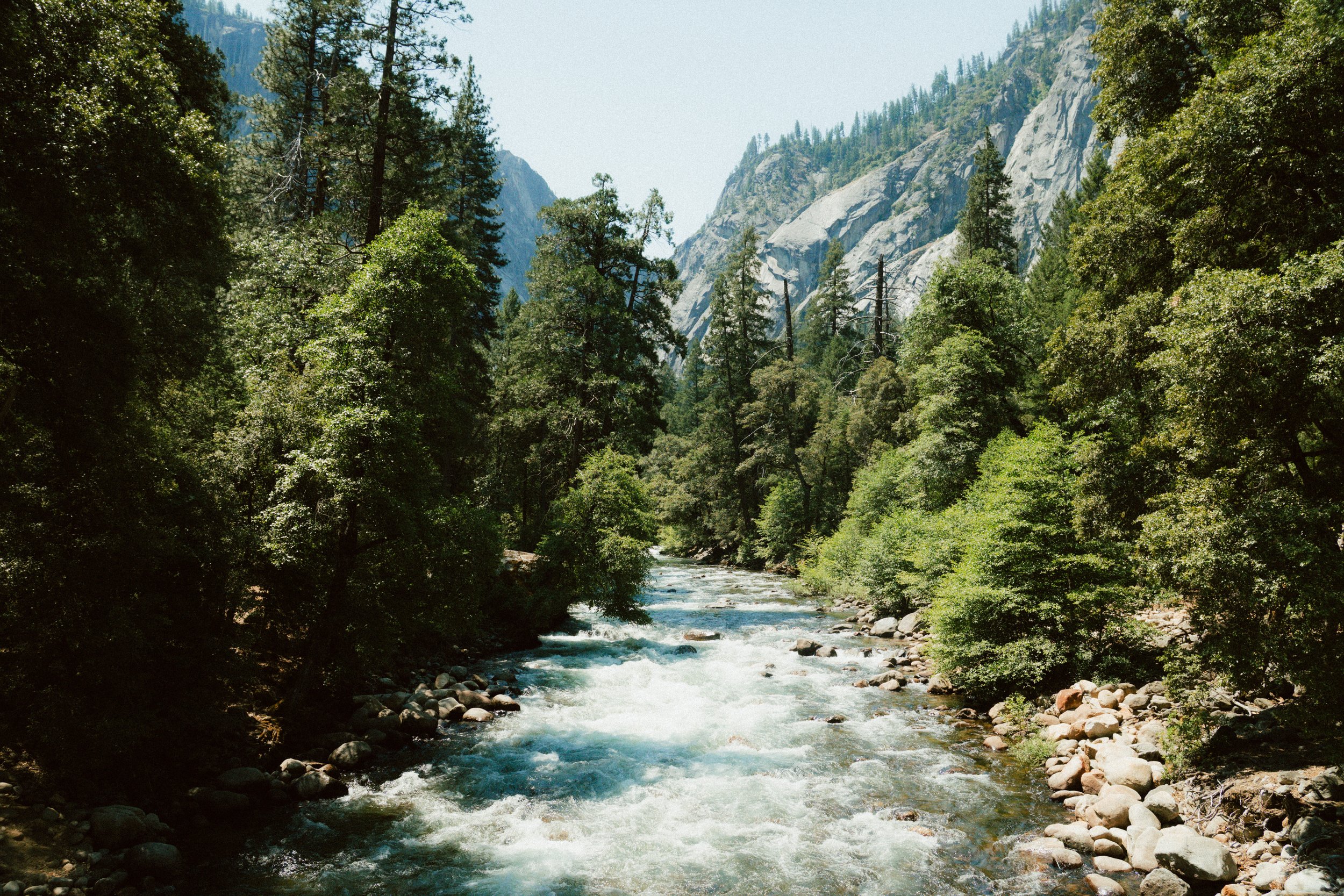 WEBSITE-83.jpg