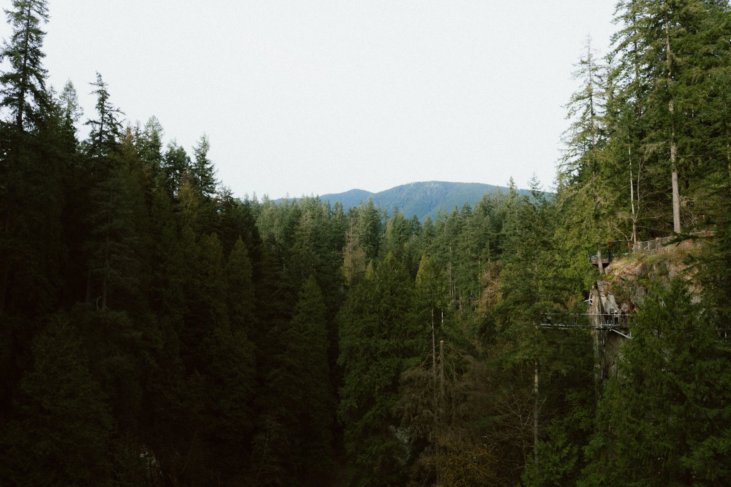 WEBSITE-89.jpg