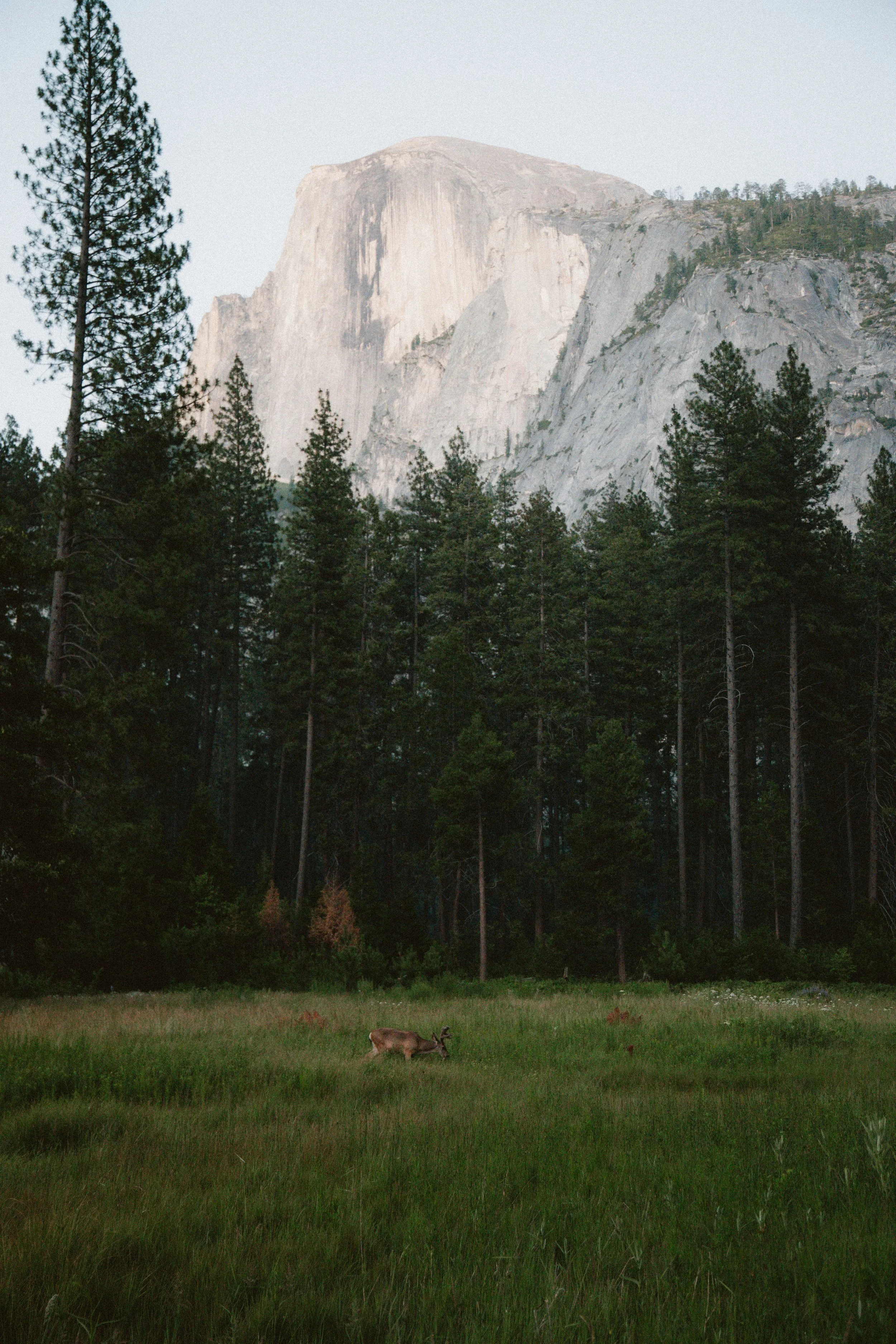 WEBSITE-91.jpg