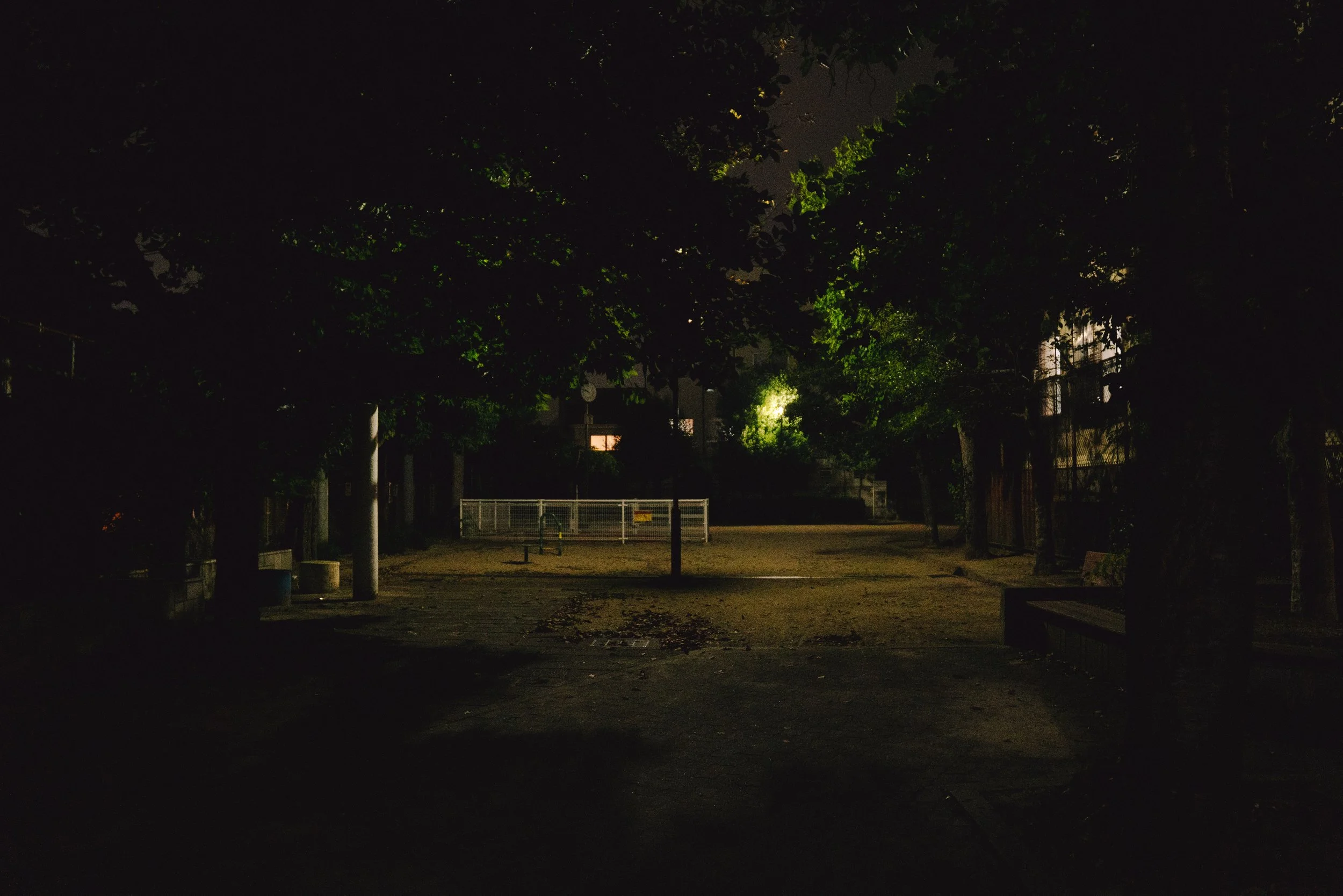 WEBSITE-44.jpg