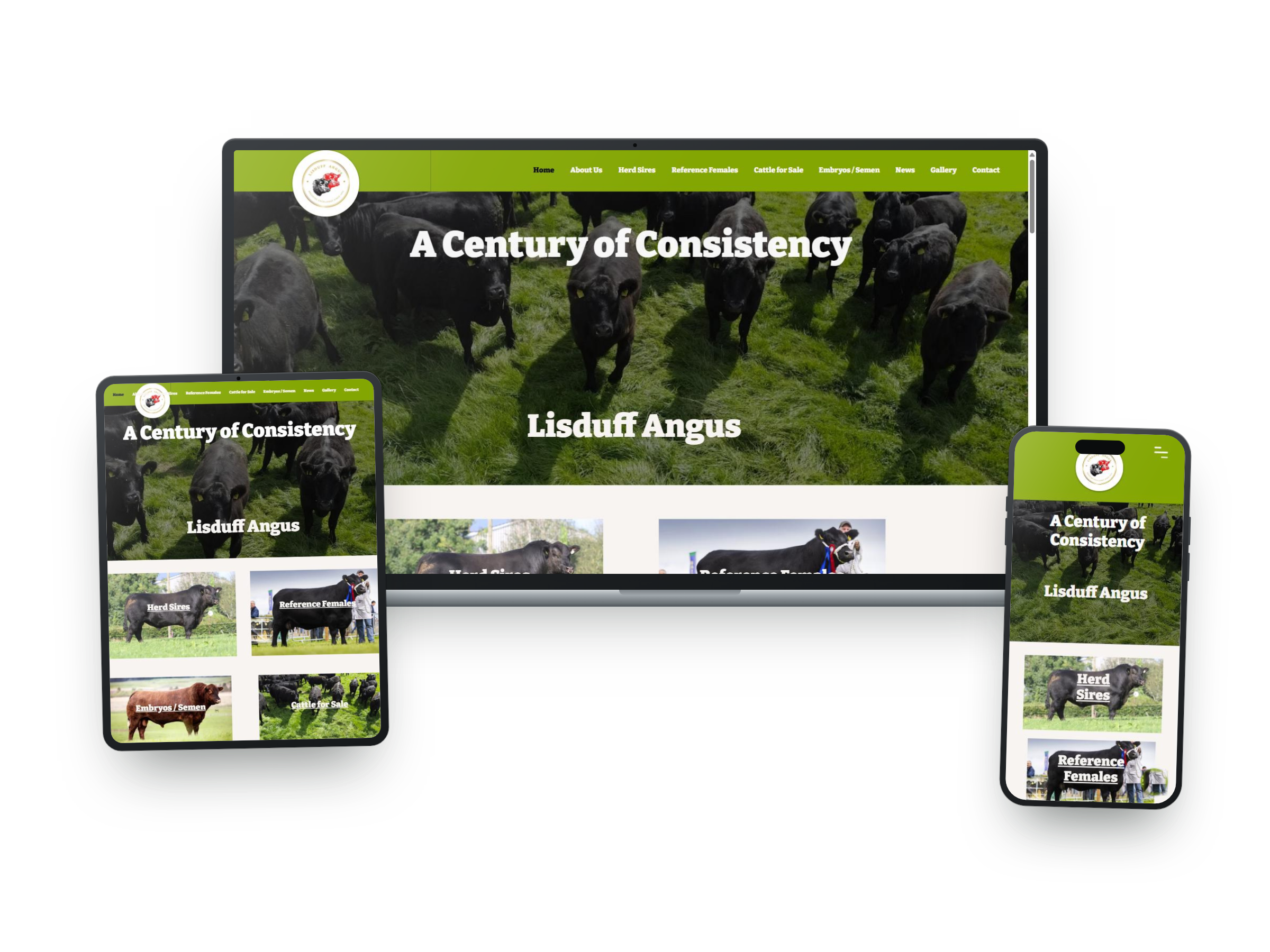 Webseite eines Rinderzüchterbetriebs mit dem Slogan 'A Century of Consistency', zeigt schwarze Rinder auf grünem Weideland, auf verschiedenen mobilen Geräten sichtbar.
