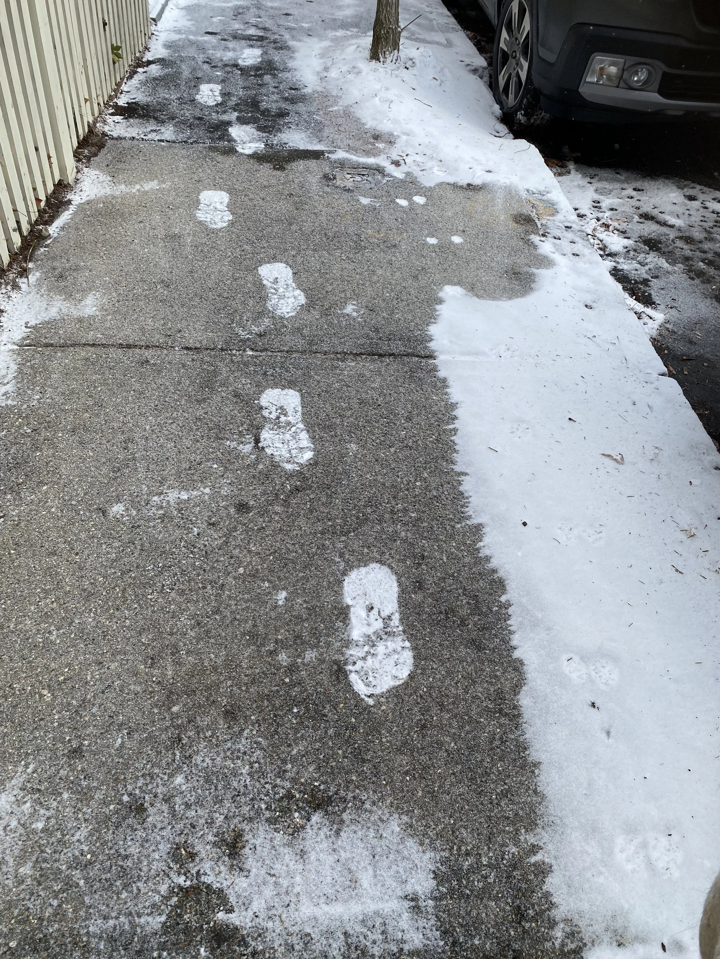 footprints in mud or snow