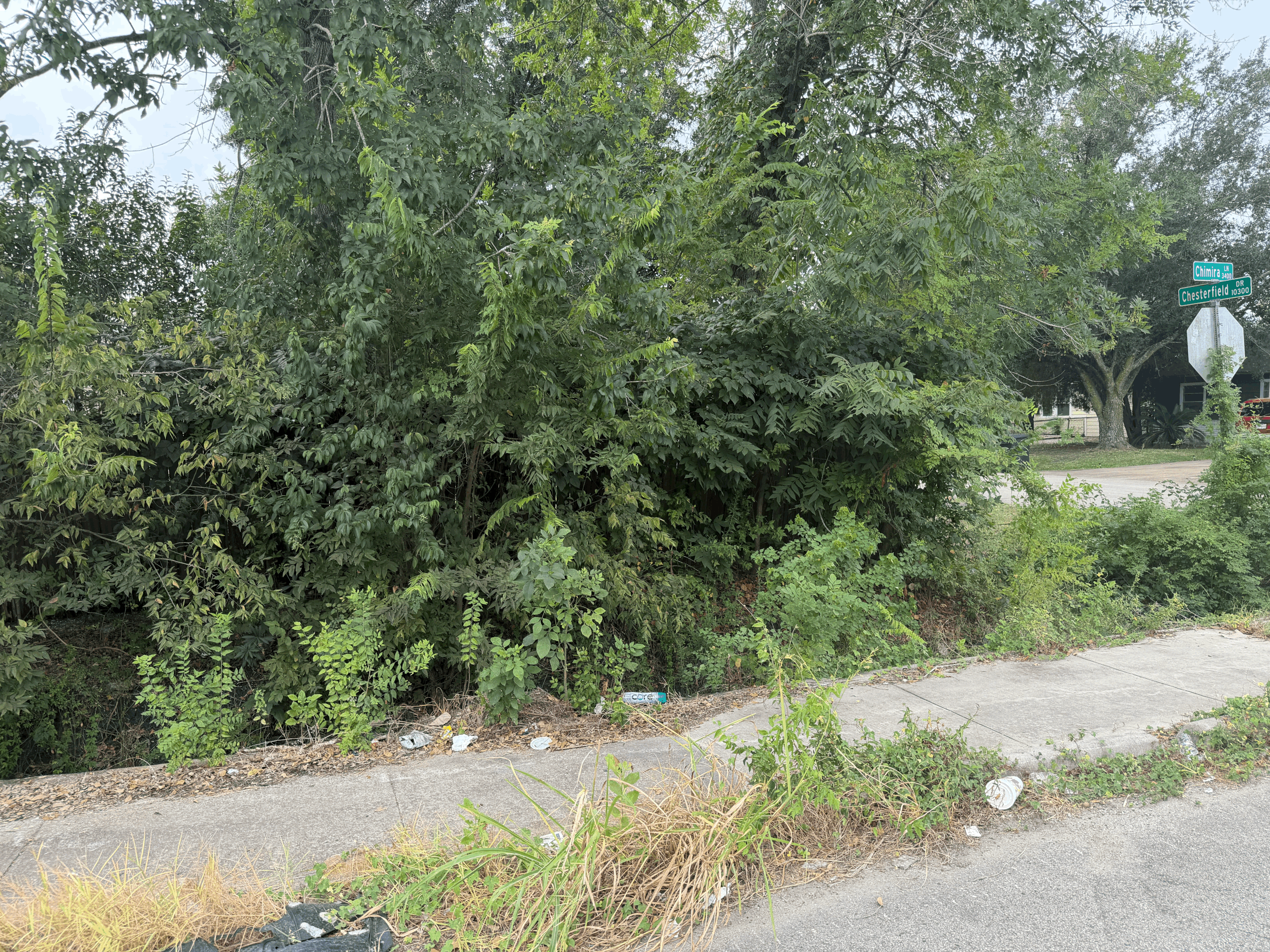 SOUTH PARK DAILY CLEAN: 4515 HOLMES RD