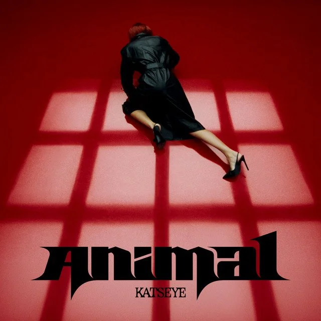 Animal (KATSEYE): Everything to Know About the Viral Song, Meaning, Lyrics, and Why Fans Can't Stop Listening