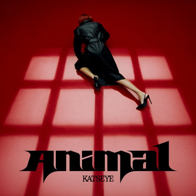 animal katseye