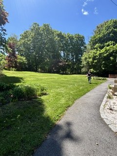 A pathway through a lush green park with trees and grass, sunny day with clear blue sky, and a person walking in the distance.