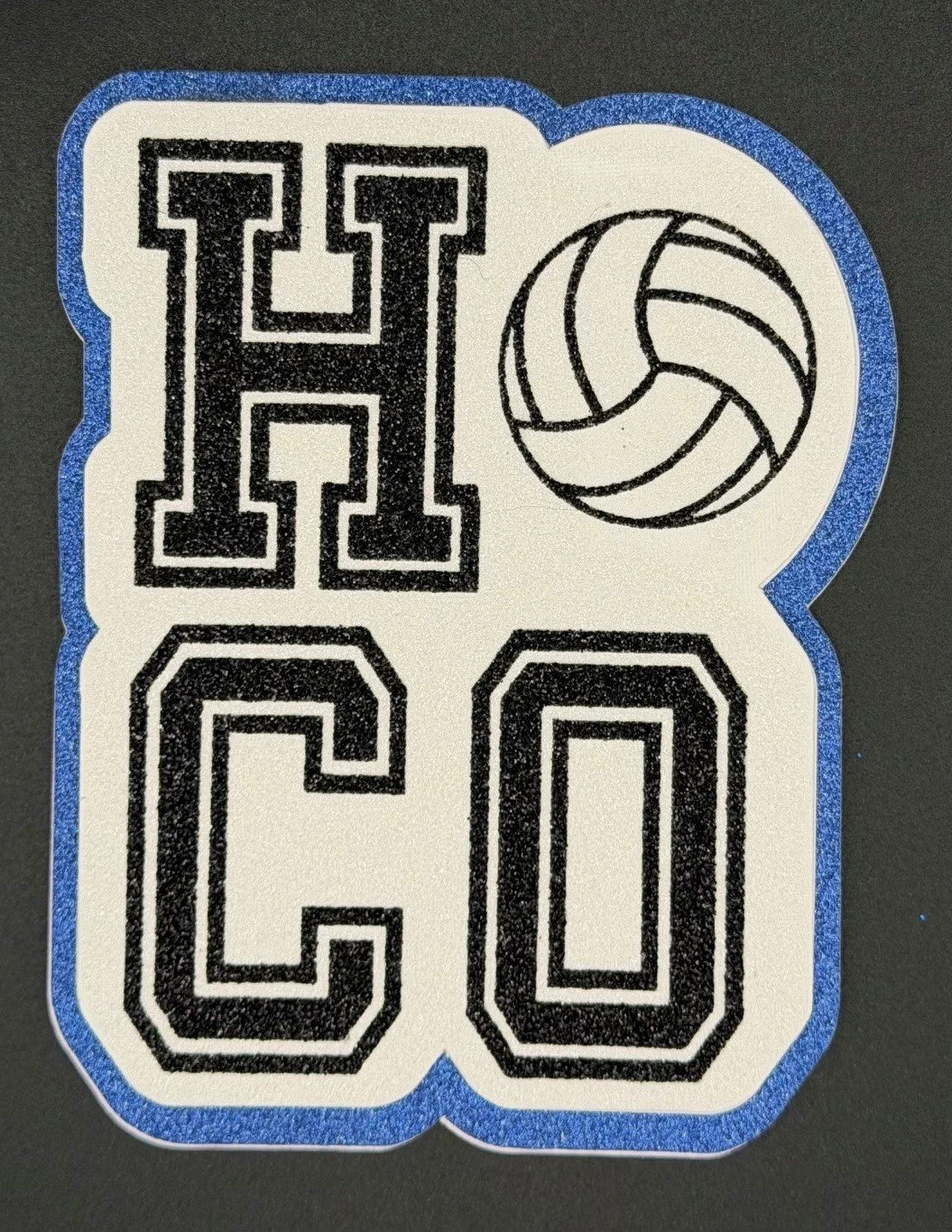 HOCO Volleyball