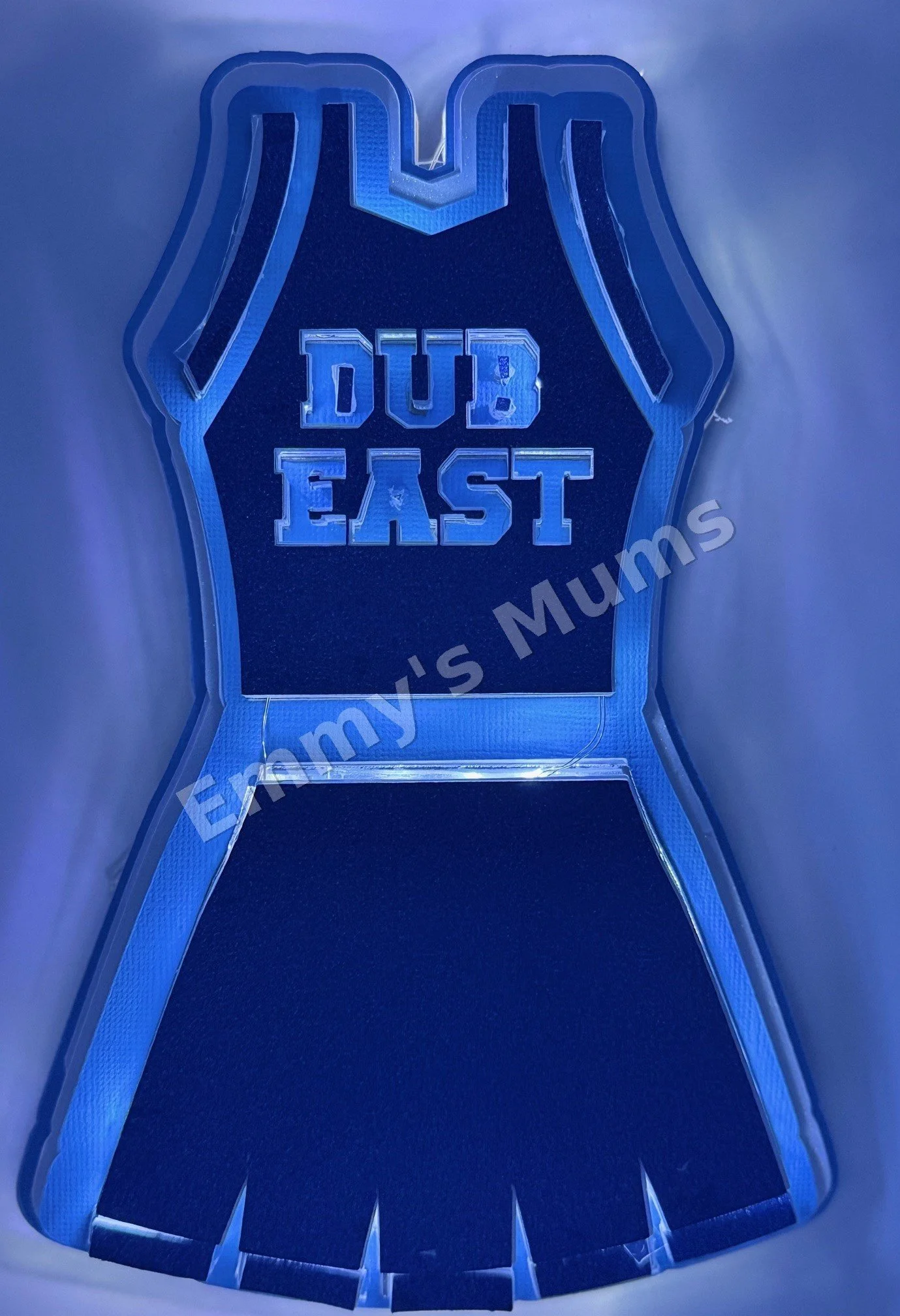 Lighted DUB East Cheer Uniform