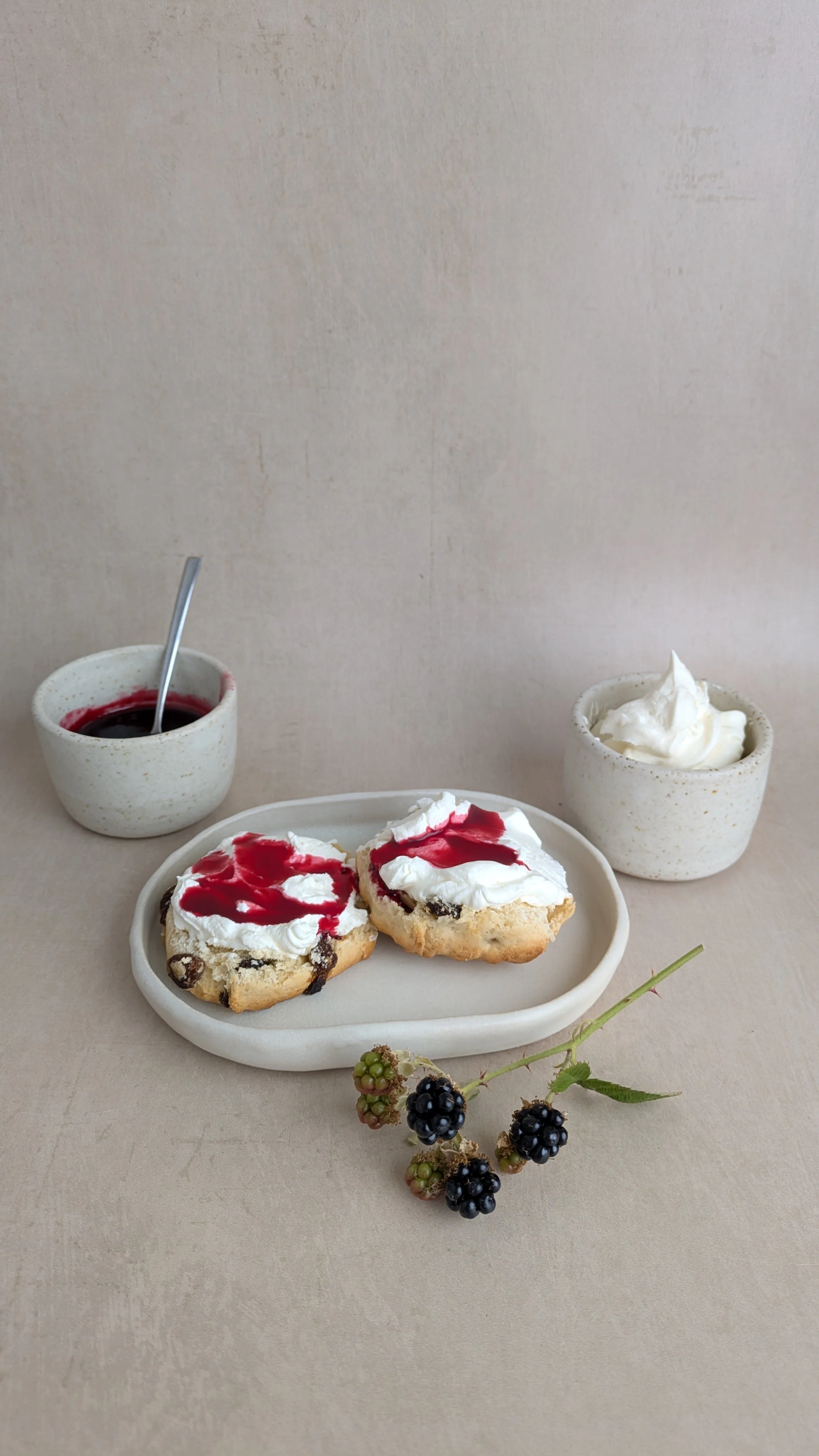 blackberry-jelly-scones-closeup-handmade-plate.jpg.jpg