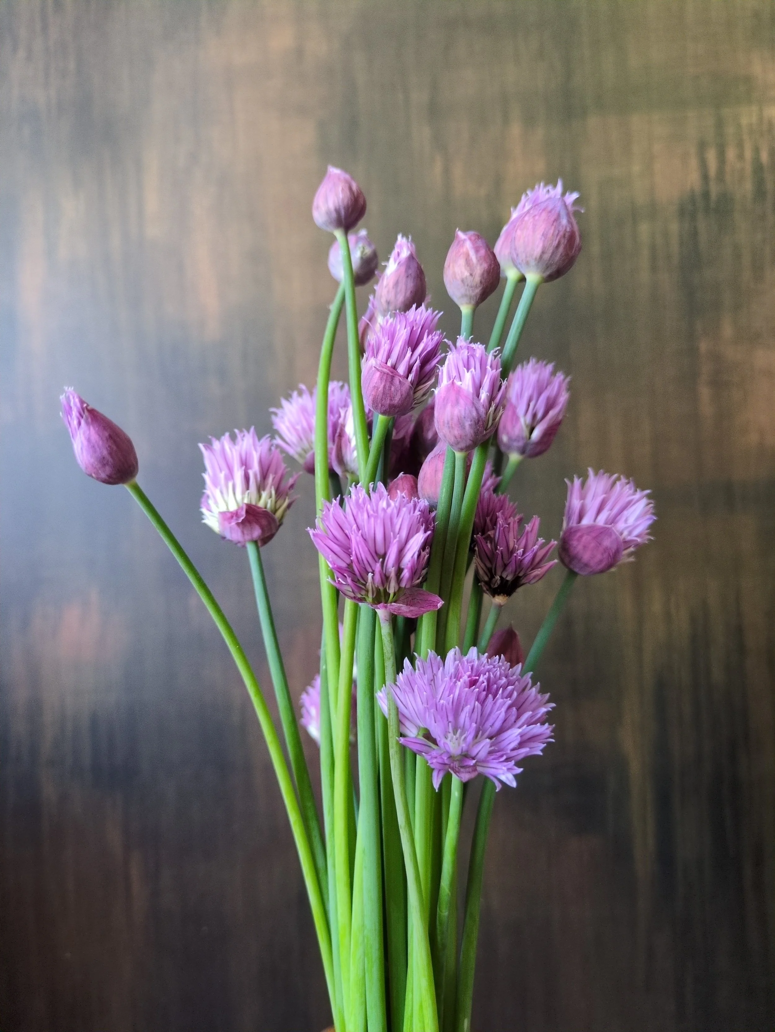  A bundle of chive flowers with long green stems and rounded purple blossoms resting on a dark wooden surface. 