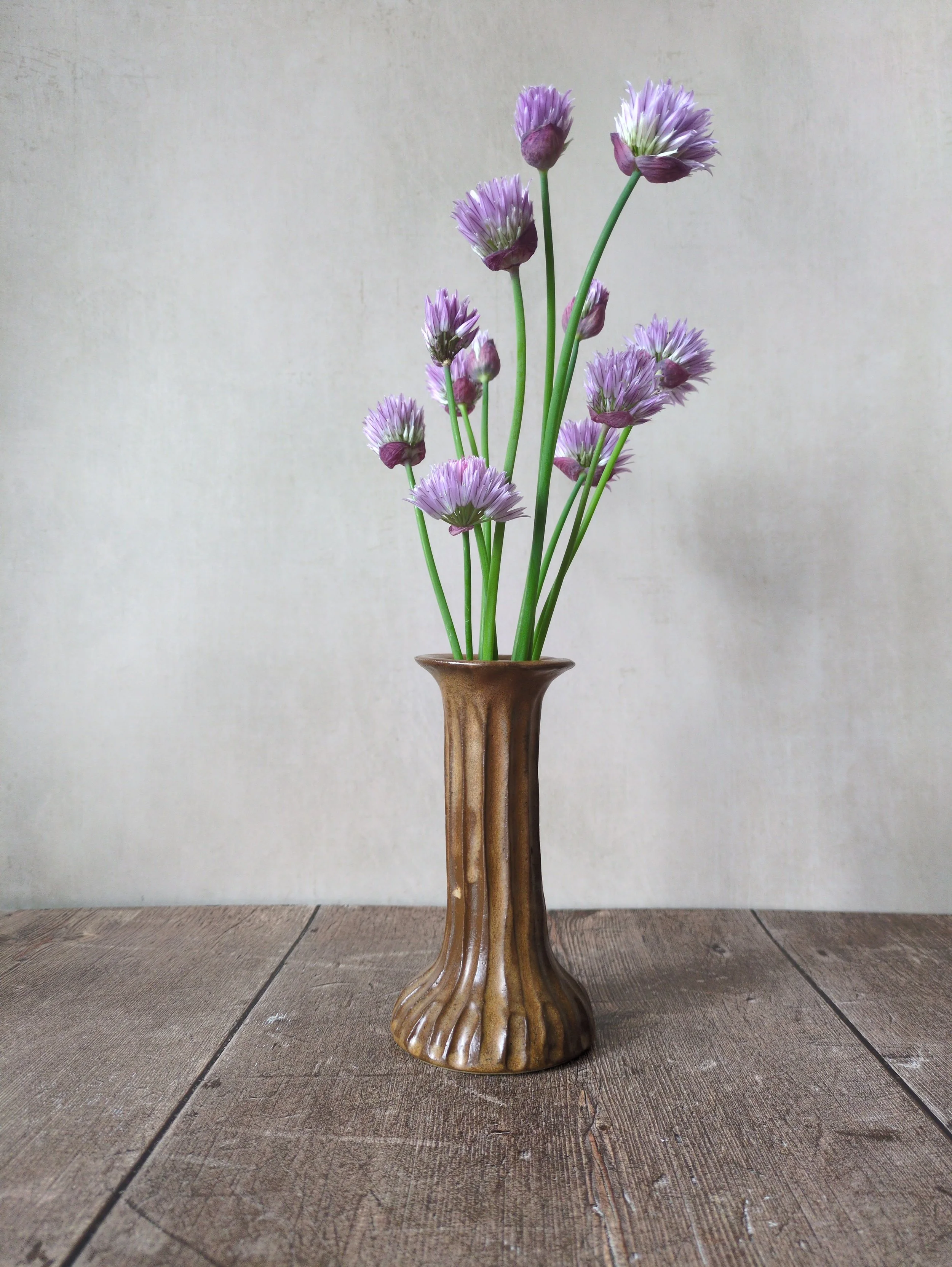 chive-blossoms-brown-ceramic-vase.jpg.jpg