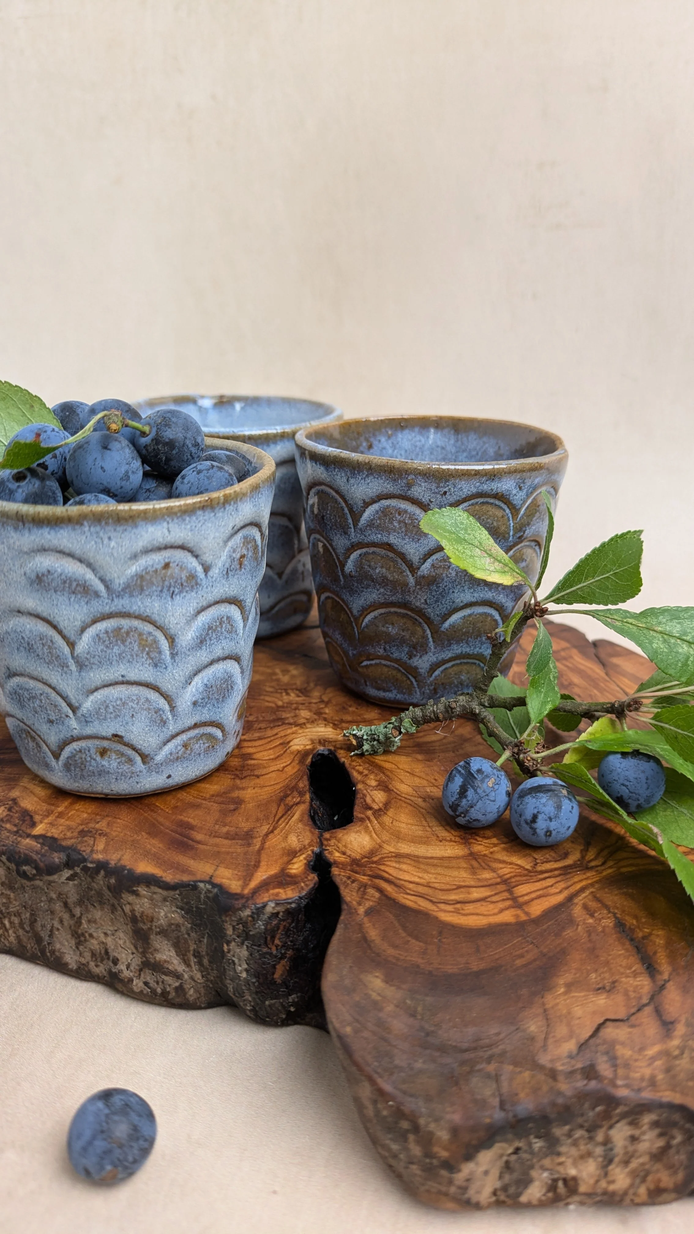 blue-arch-texture-little-cups-with-sloes.jpg (2).jpg