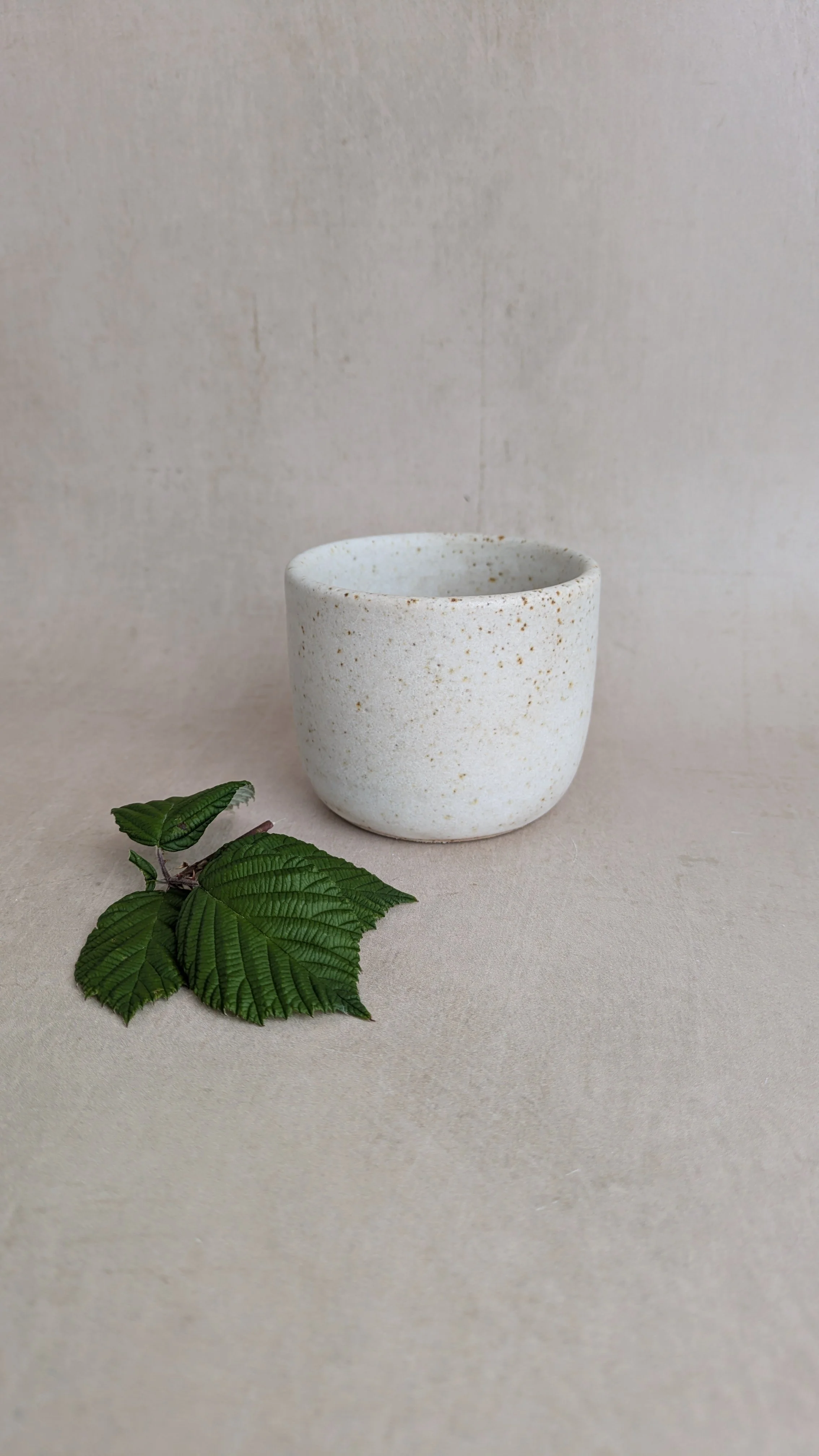 Cream Speckled Condiment Pots