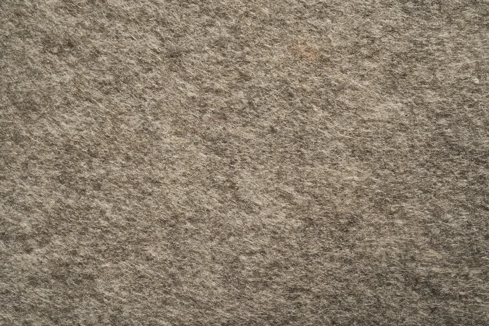 Carpet