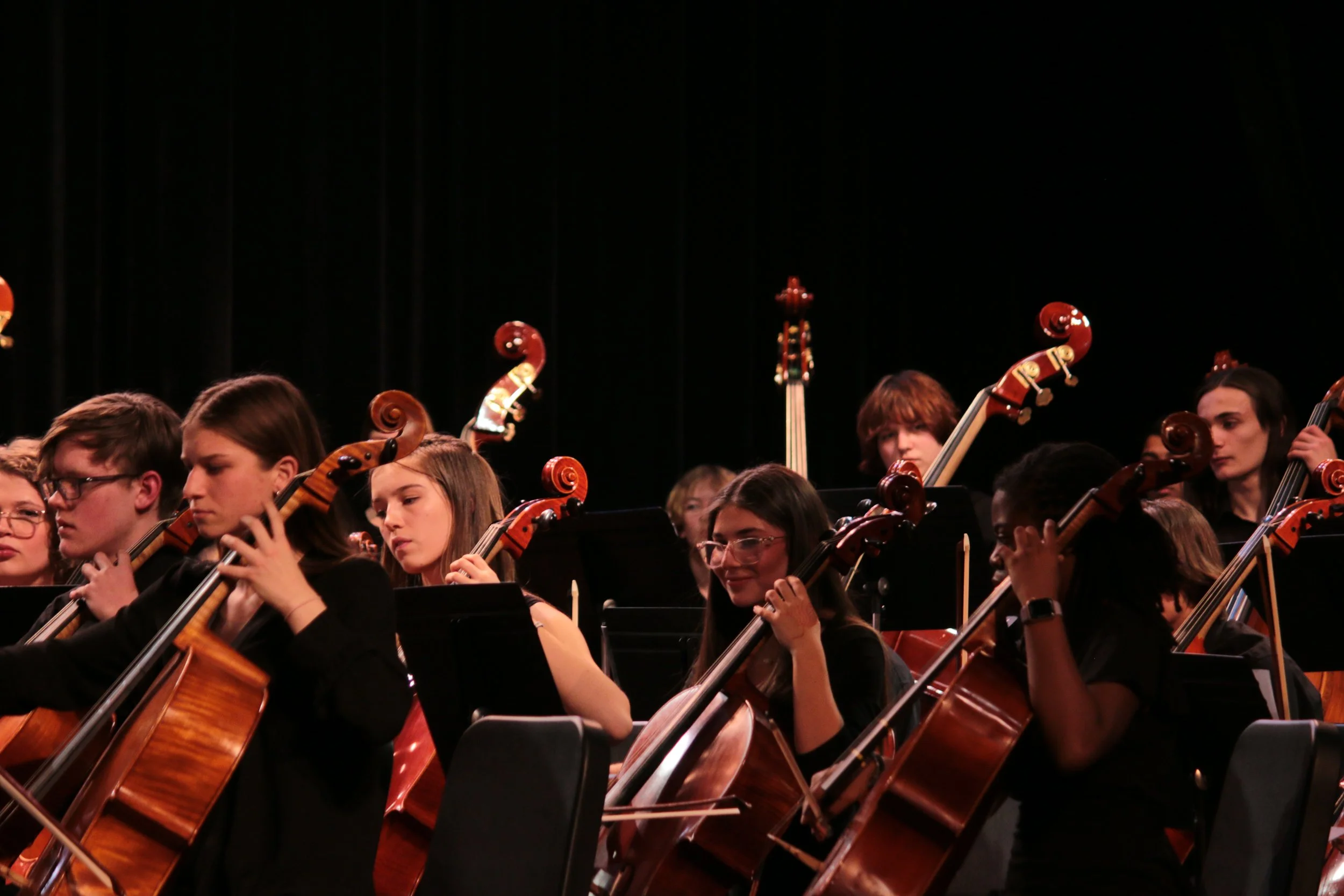 DHS Orchestra Winter Concert