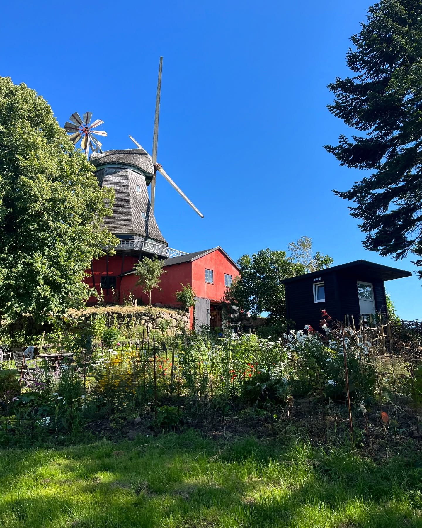 A rural garden scene with a traditional windmill, a red house with a stone foundation, and a small black building, surrounded by trees, plants, and a lush green lawn under a clear blue sky.