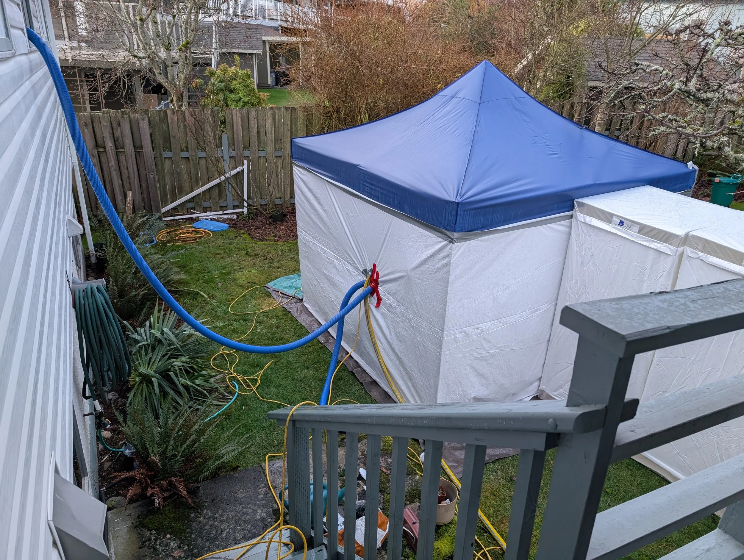 A backyard with a blue canopy tent, vacuum hoses, and tools near a wooden fence.