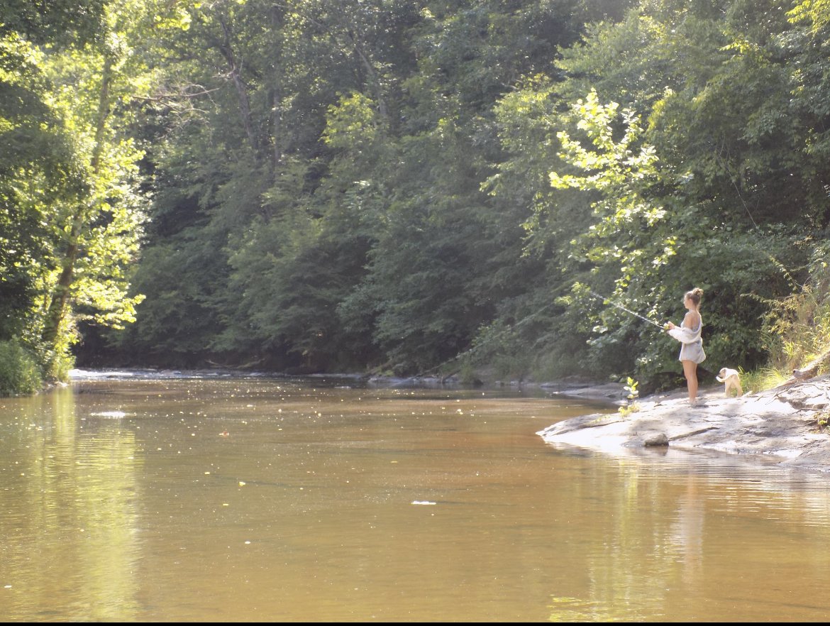 A woman fishing on a rocky riverbank with a dog nearby, surrounded by lush green trees in a peaceful outdoor setting.