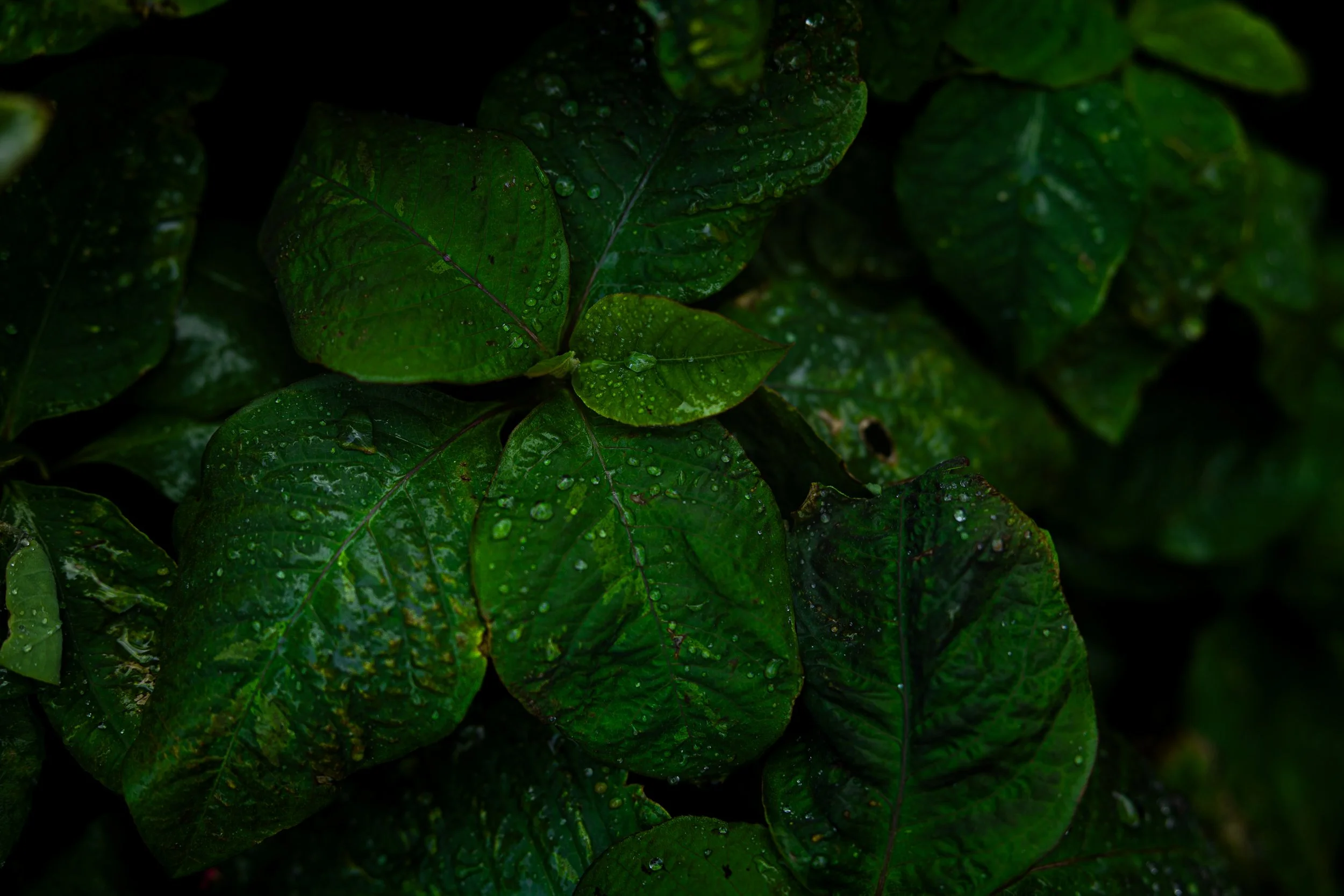 022A4013.jpg