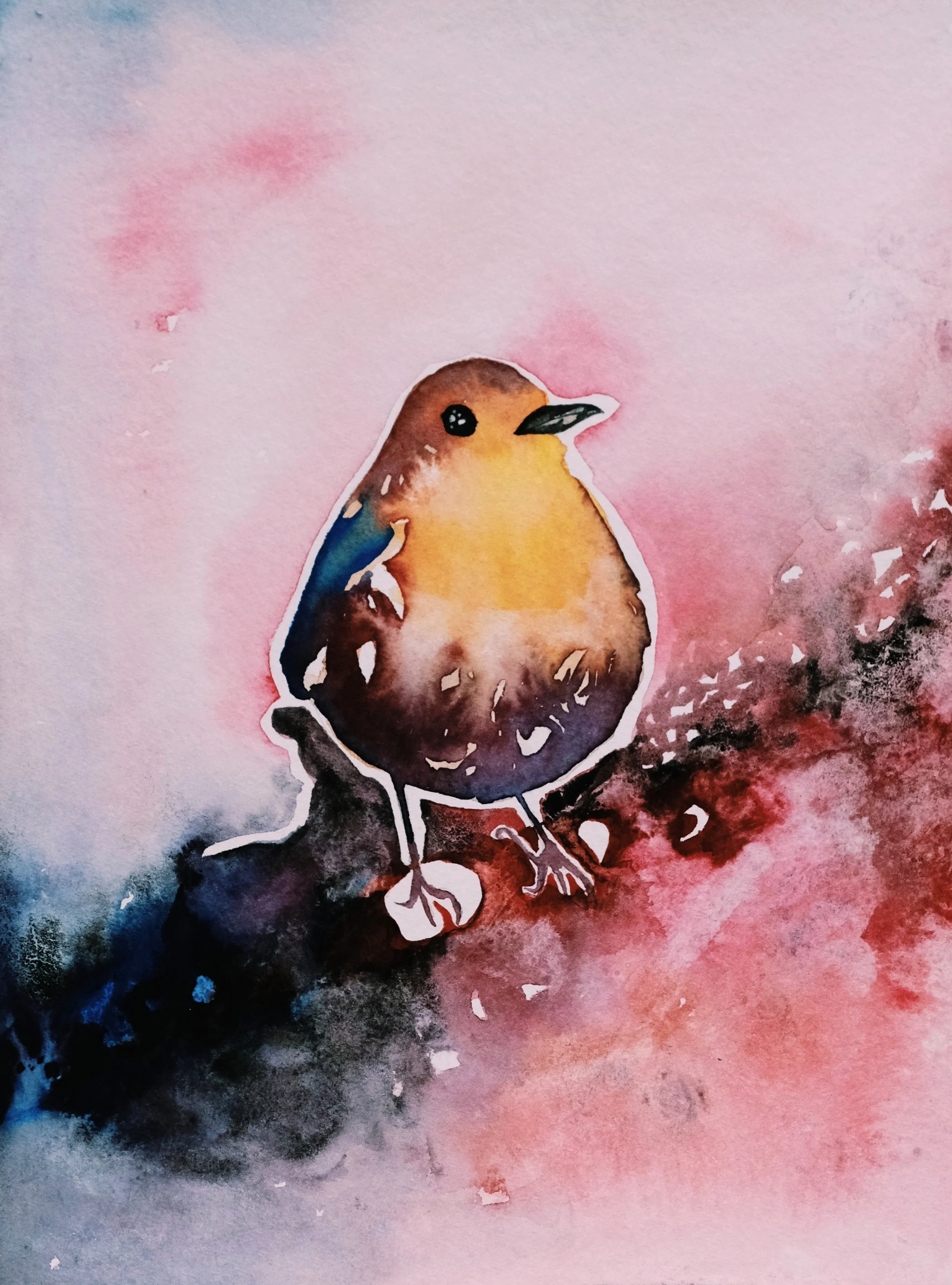 Little Robin