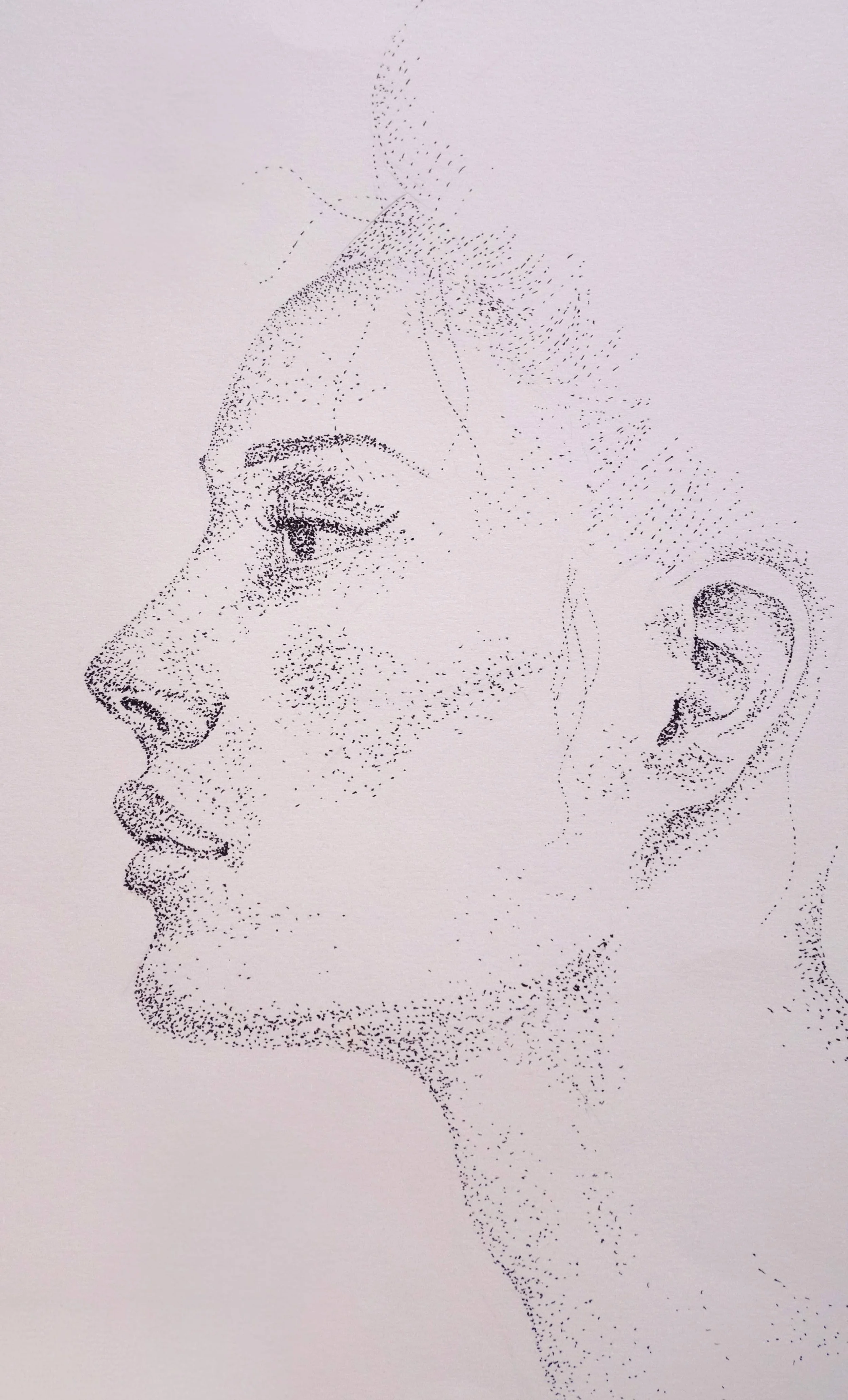 Quiet Strength