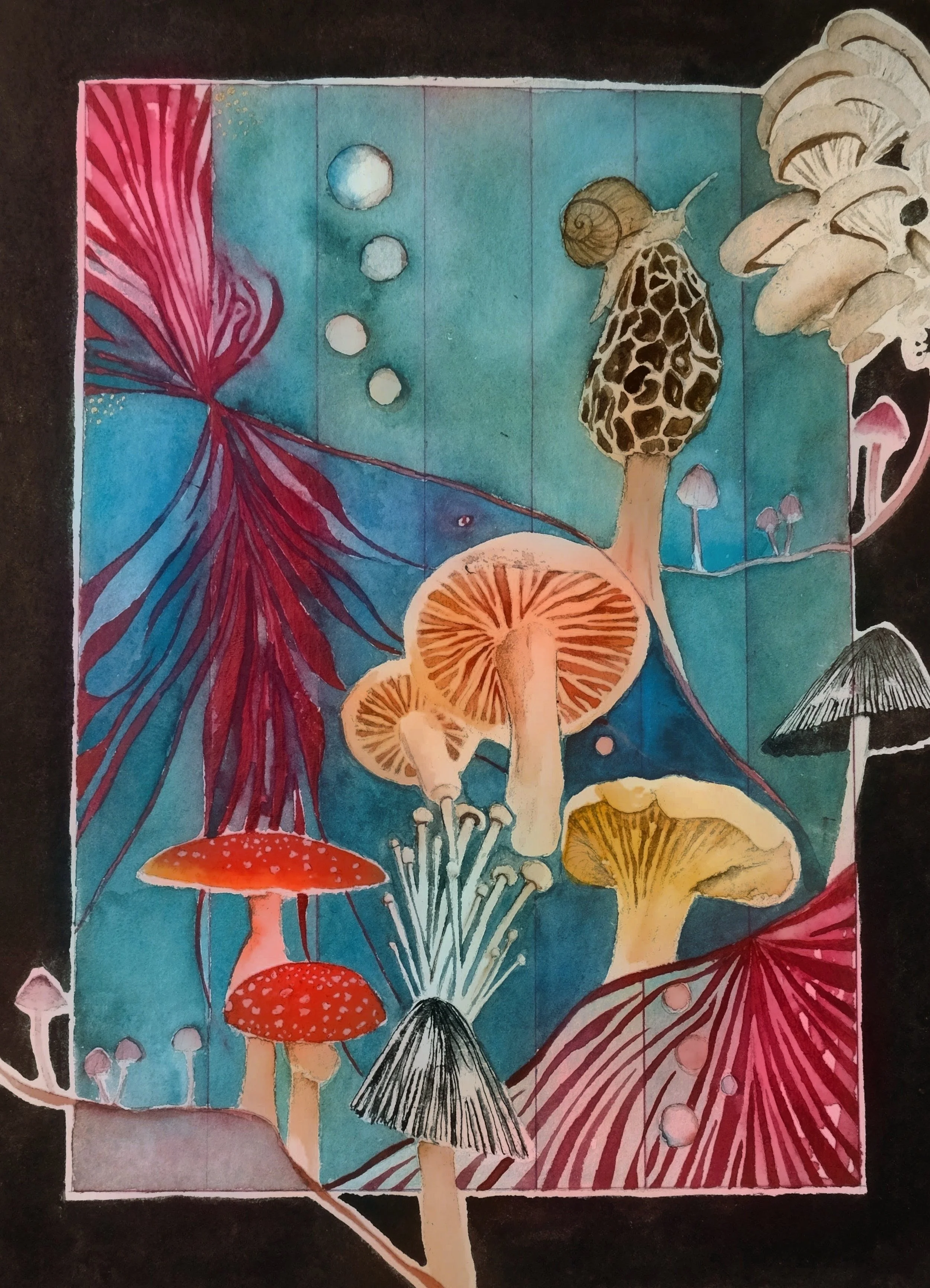 Mushroom Melodies