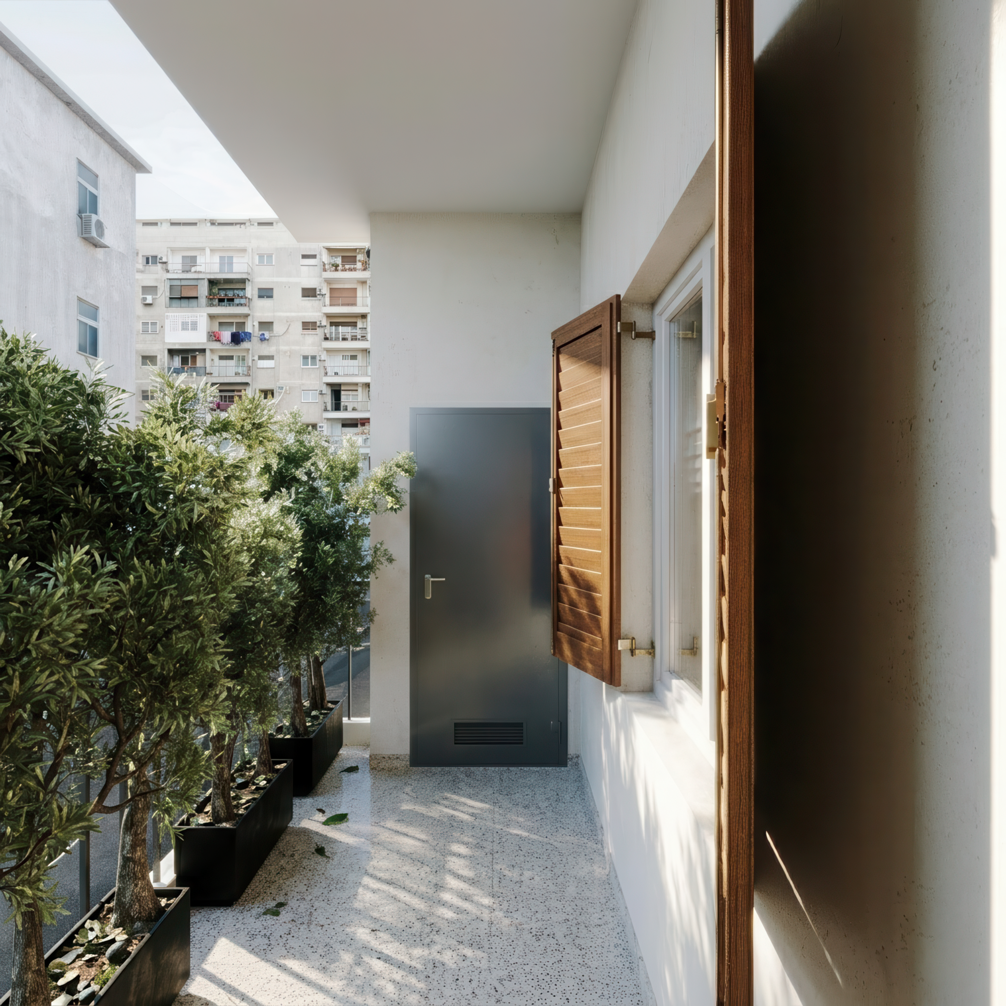 Modern apartment balcony 3D render featuring speckled white terrazzo floor tiles, potted olive trees in black planters, open wooden louvred window shutters, and a dark grey door.