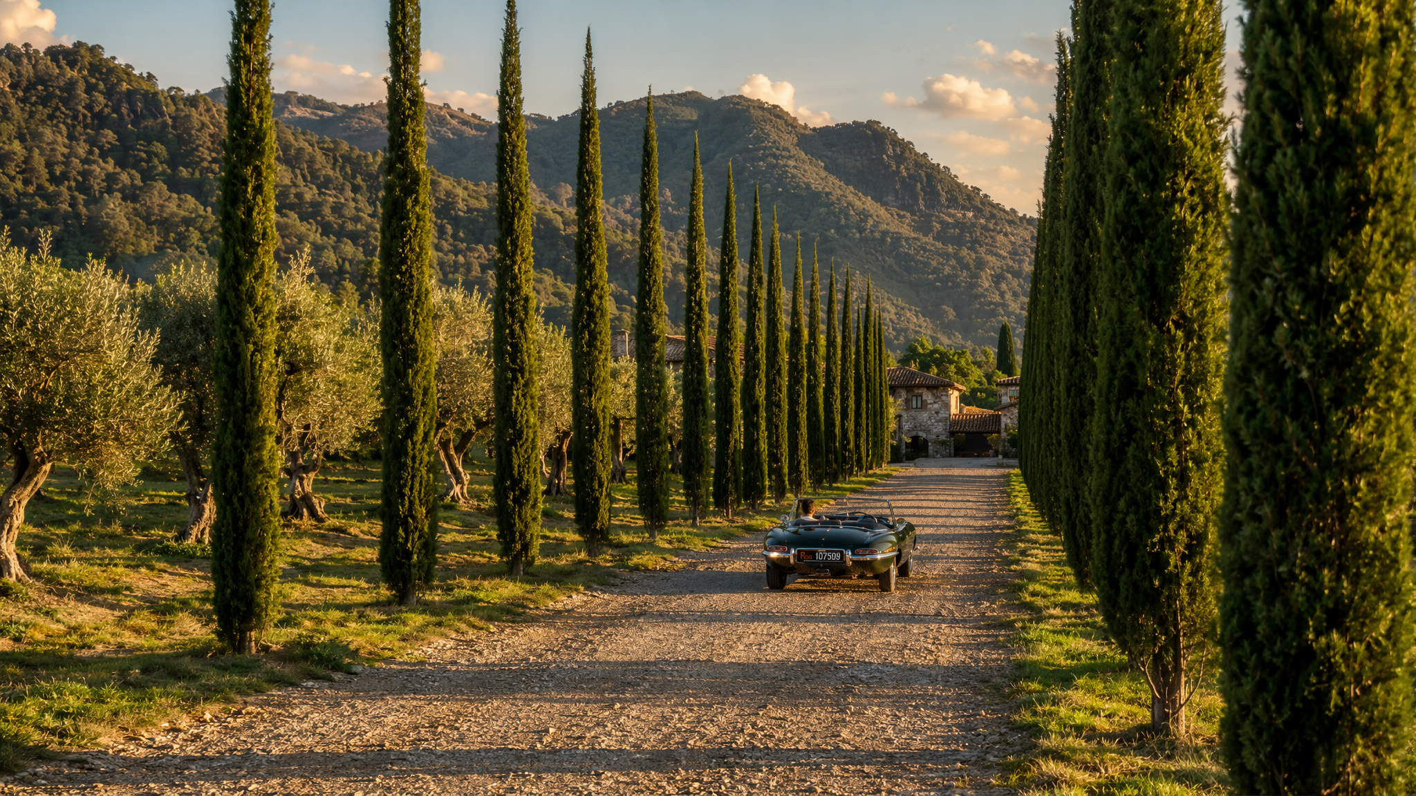3D photorealistic visualization of a vintage dark green Jaguar E-Type convertible driving down a scenic gravel driveway flanked by a majestic avenue of tall cypress trees. The idyllic Tuscan-style landscape includes ancient olive groves.