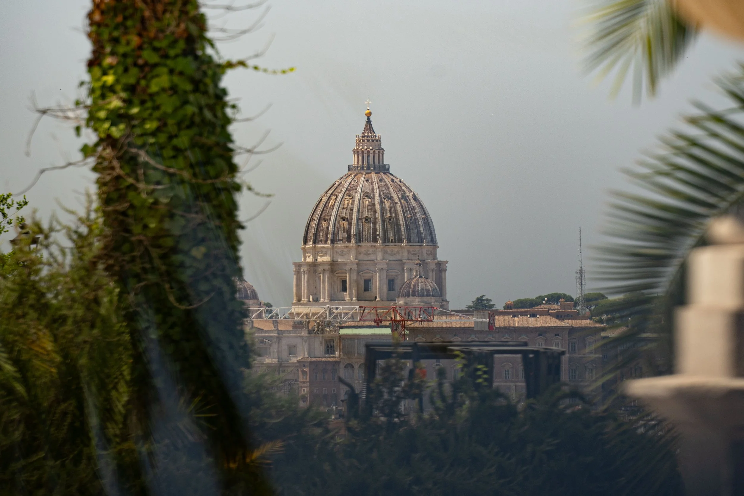 View of a historic domed building, likely St. Peter's Basilica, framed by trees in the foreground, with a construction crane visible at the bottom.