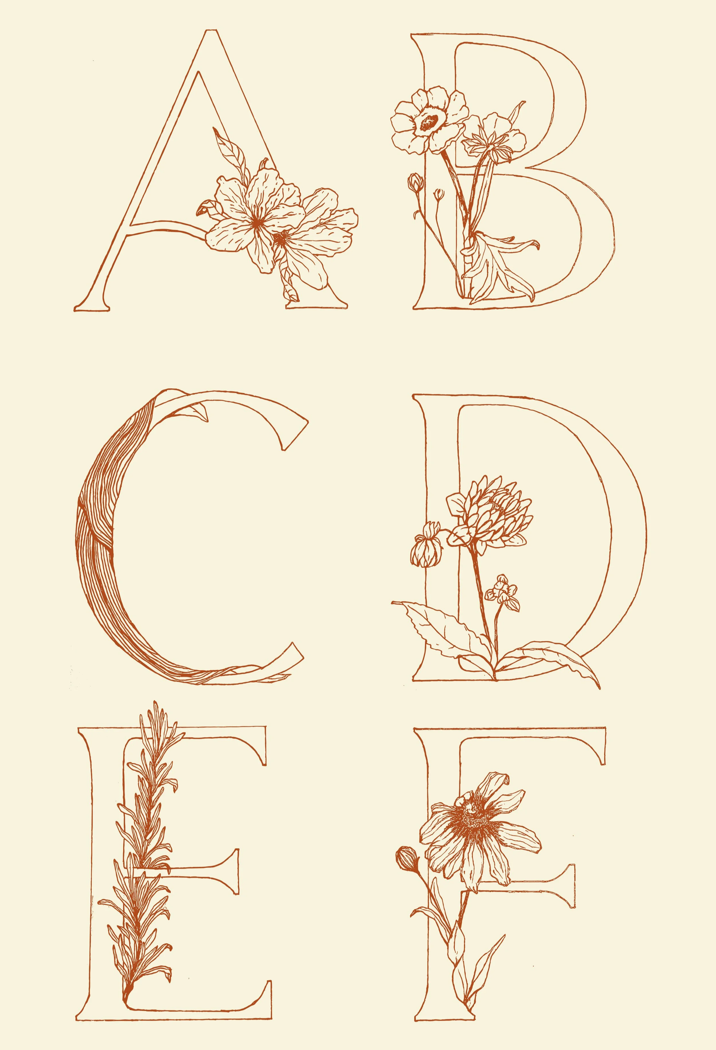 Untitled-1-01.png