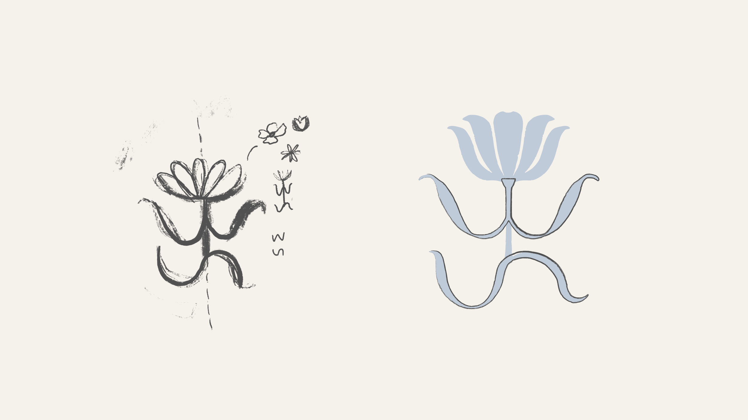 Willow portfolio 4.png