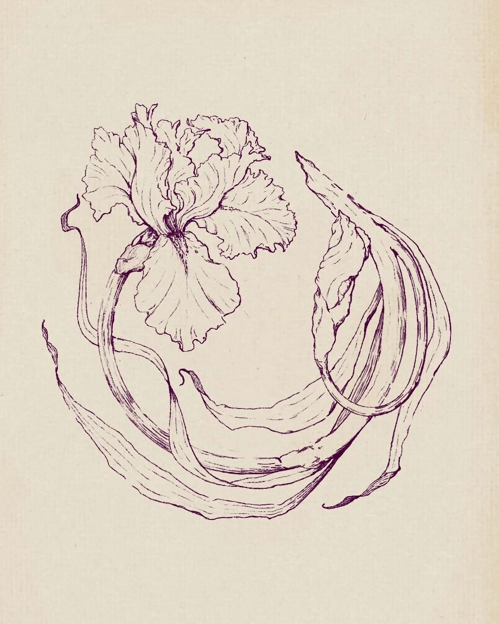 Untitled_Artwork 100.jpg