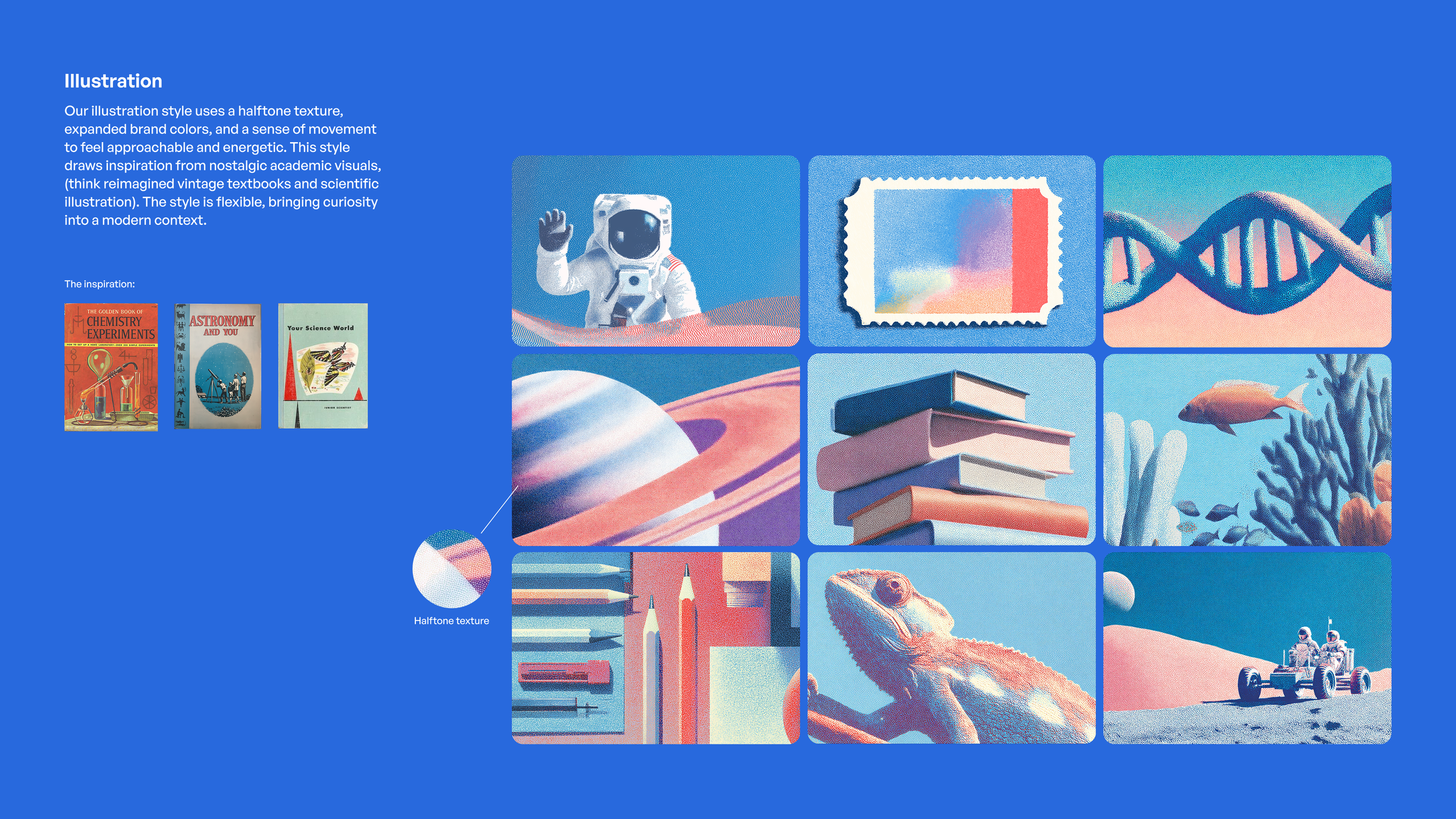 Brand Guidelines Illustrations.png
