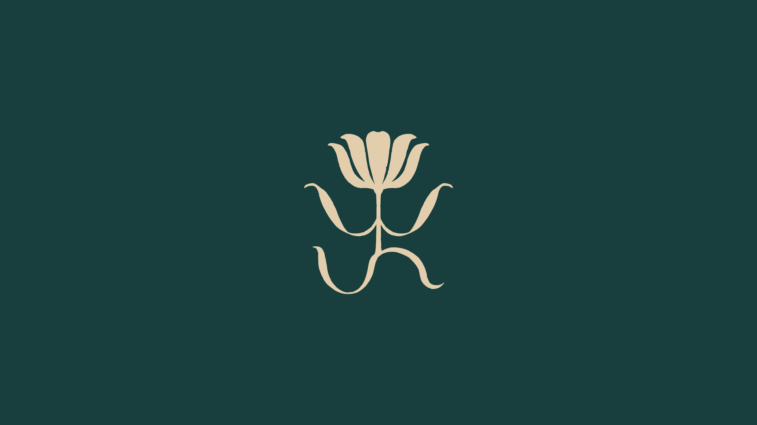 Willow portfolio 3.png